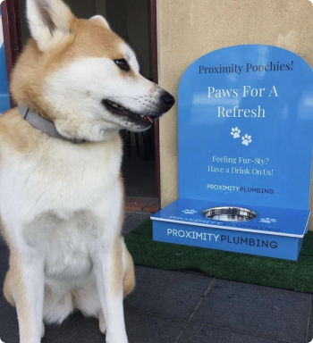 Proximity Pup Stop