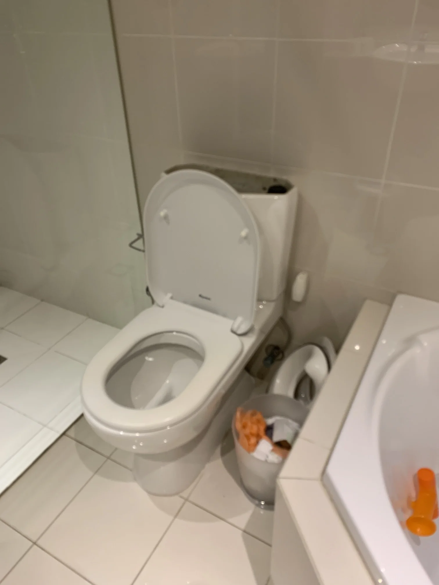 Bellevue Hill Blocked Toilet