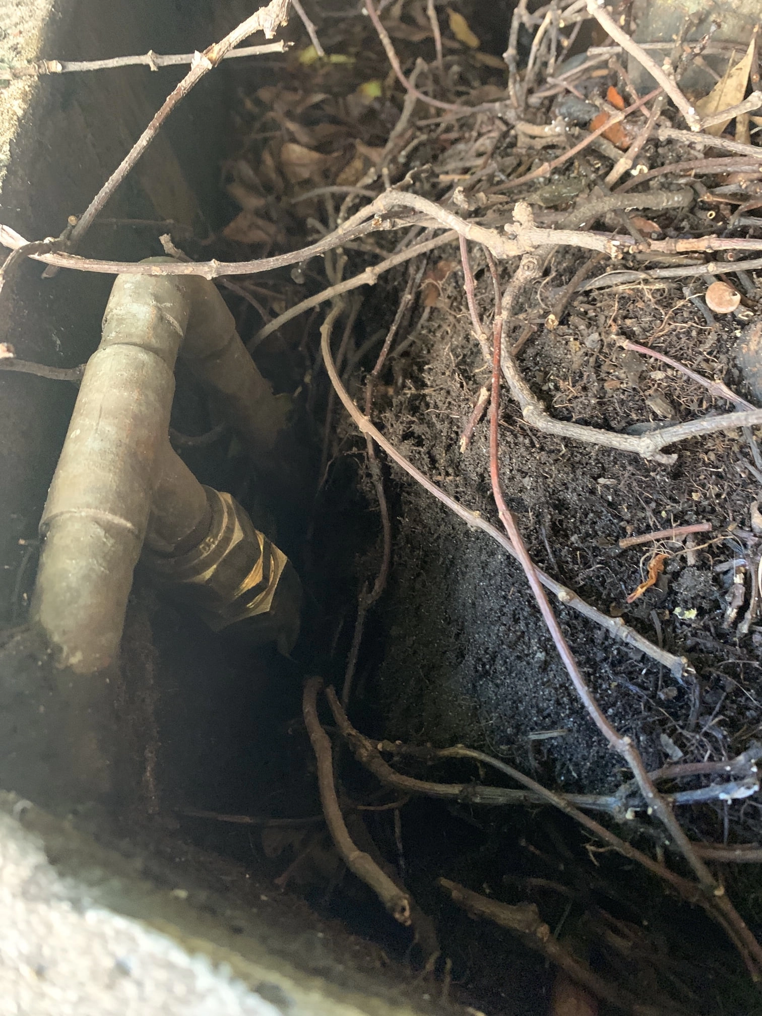 Bellevue-Hill-Water-Pipe-Replacement-2-1