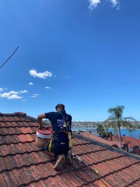 Point Piper Roof Leak Repair