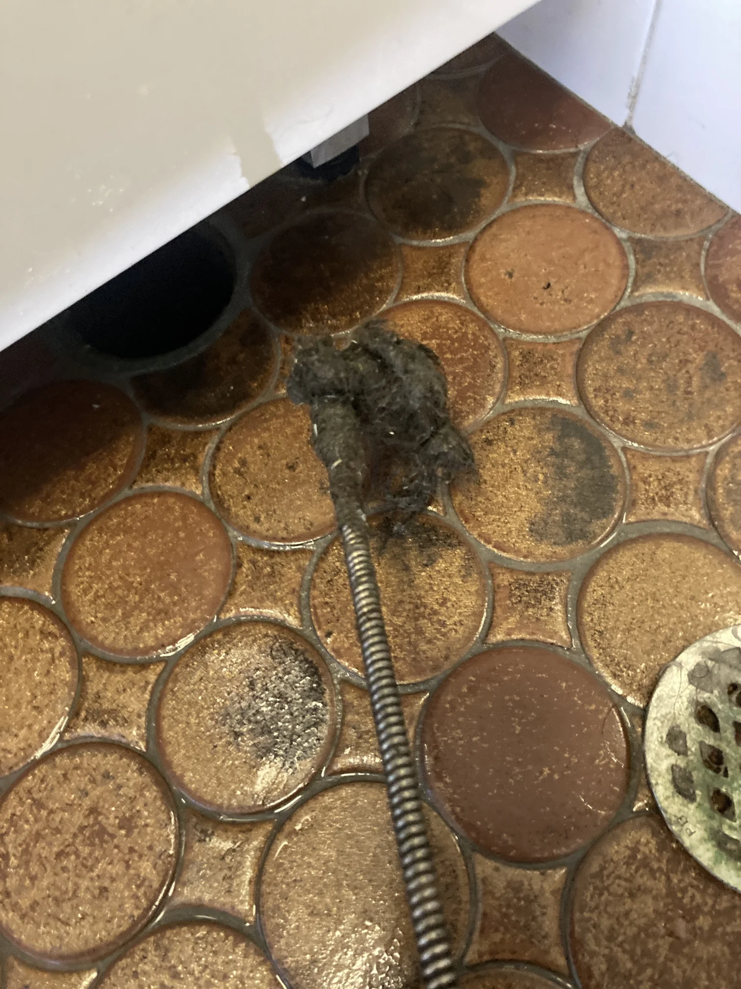 Rose Bay Blocked Shower Drain