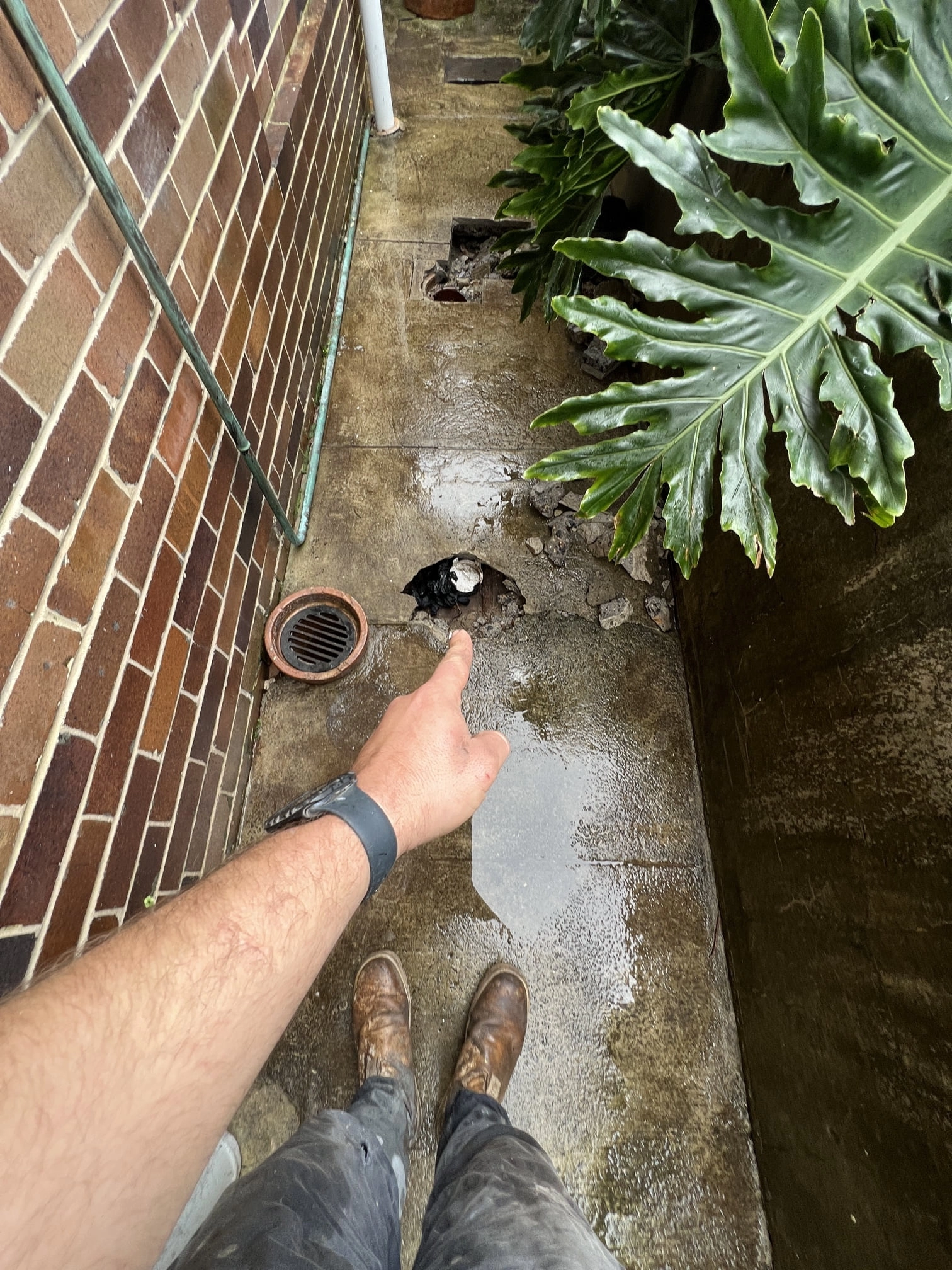 Bondi Beach Blocked Gully