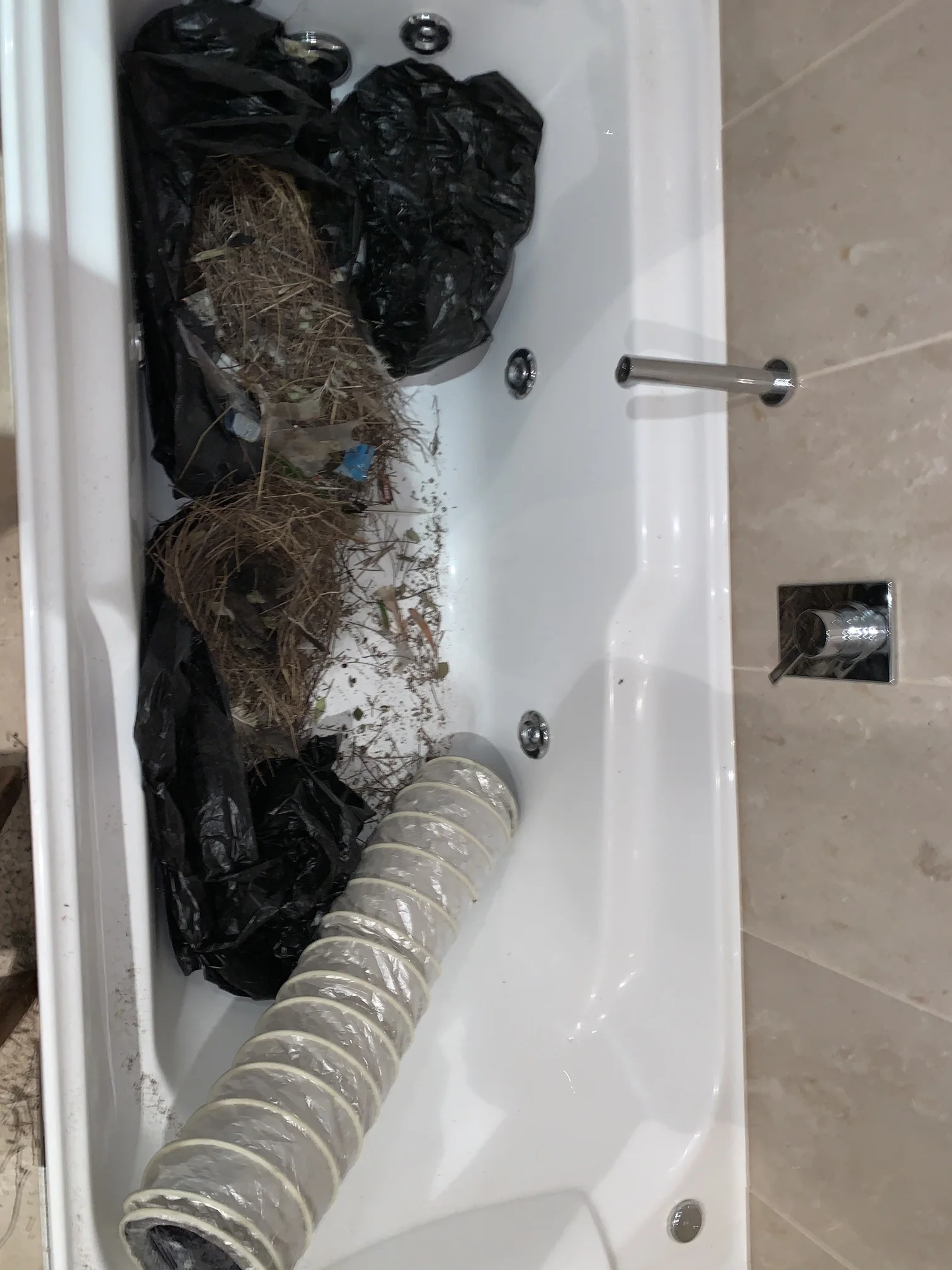 Bondi Beach Strata Plumbing