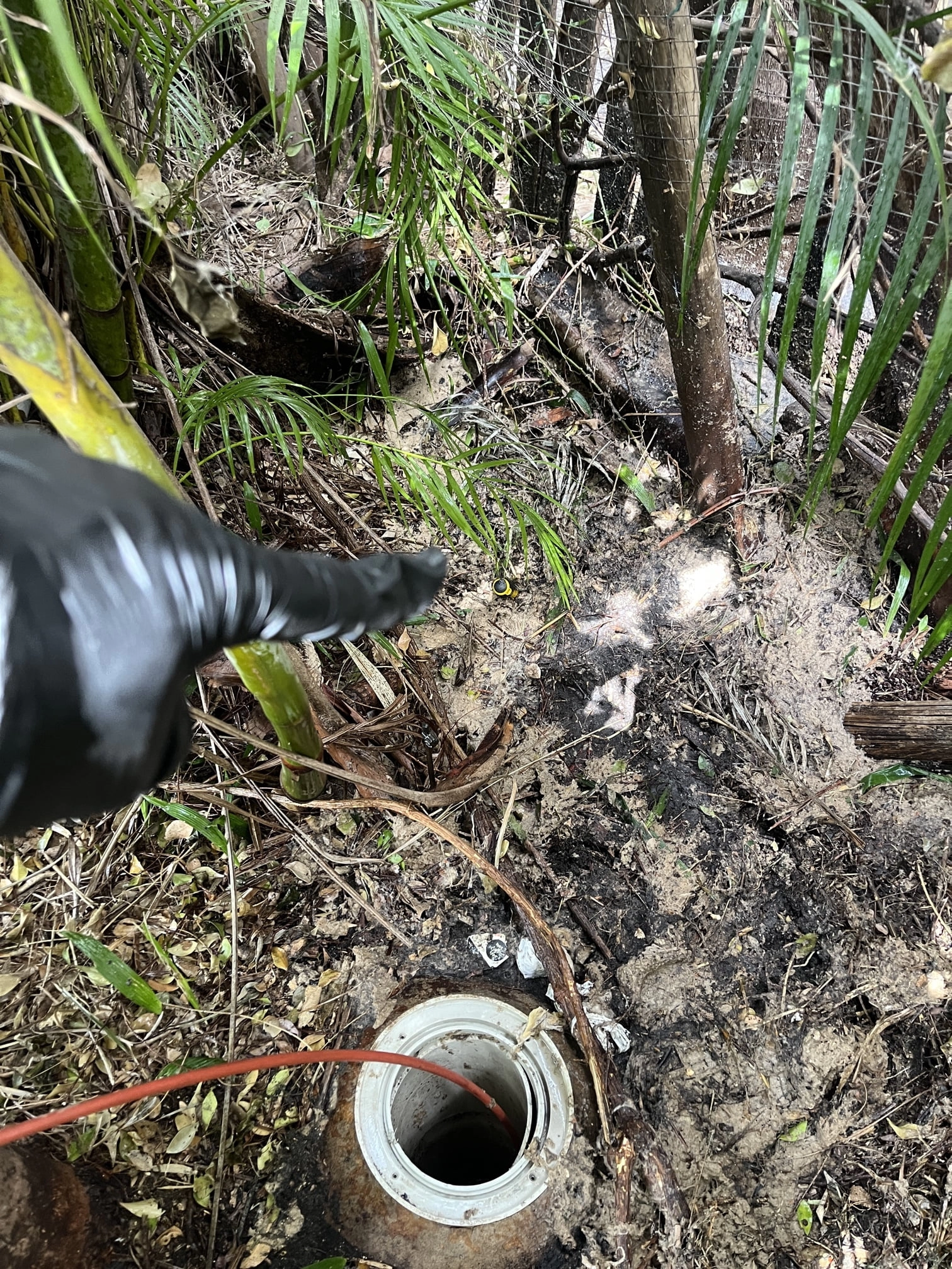 Botany Blocked Drain