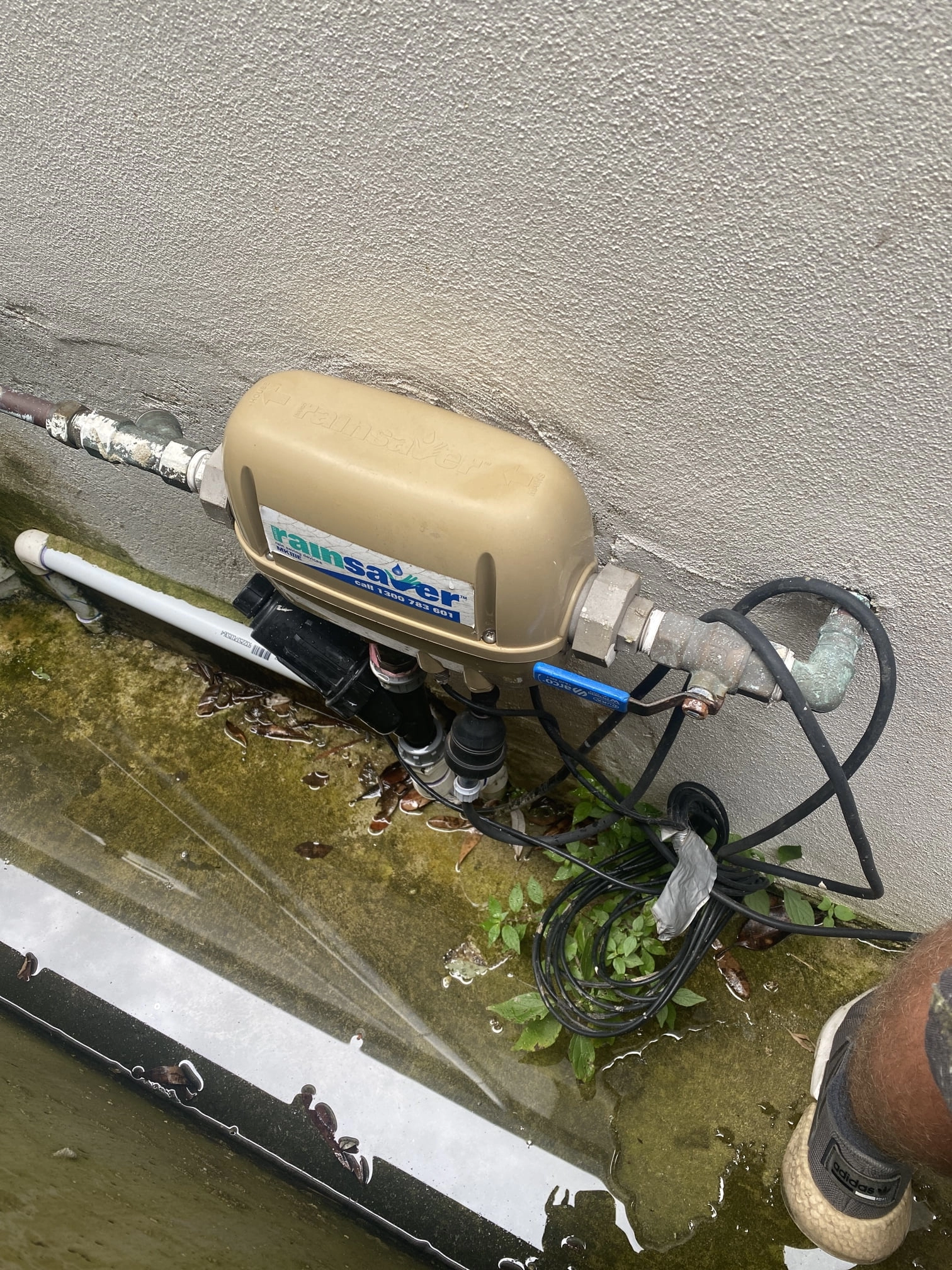 Bronte-Rainwater-tank-2