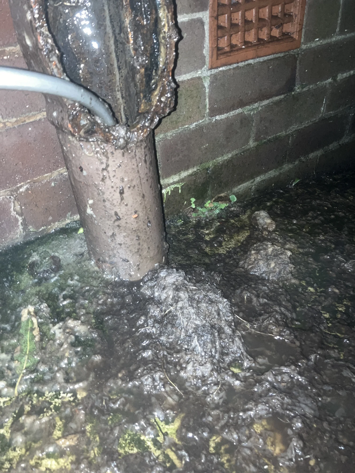 Coogee Emergency Plumbing