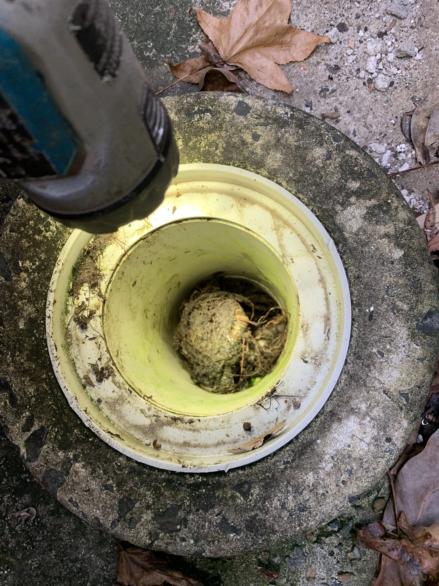 Darling Point Blocked Drain