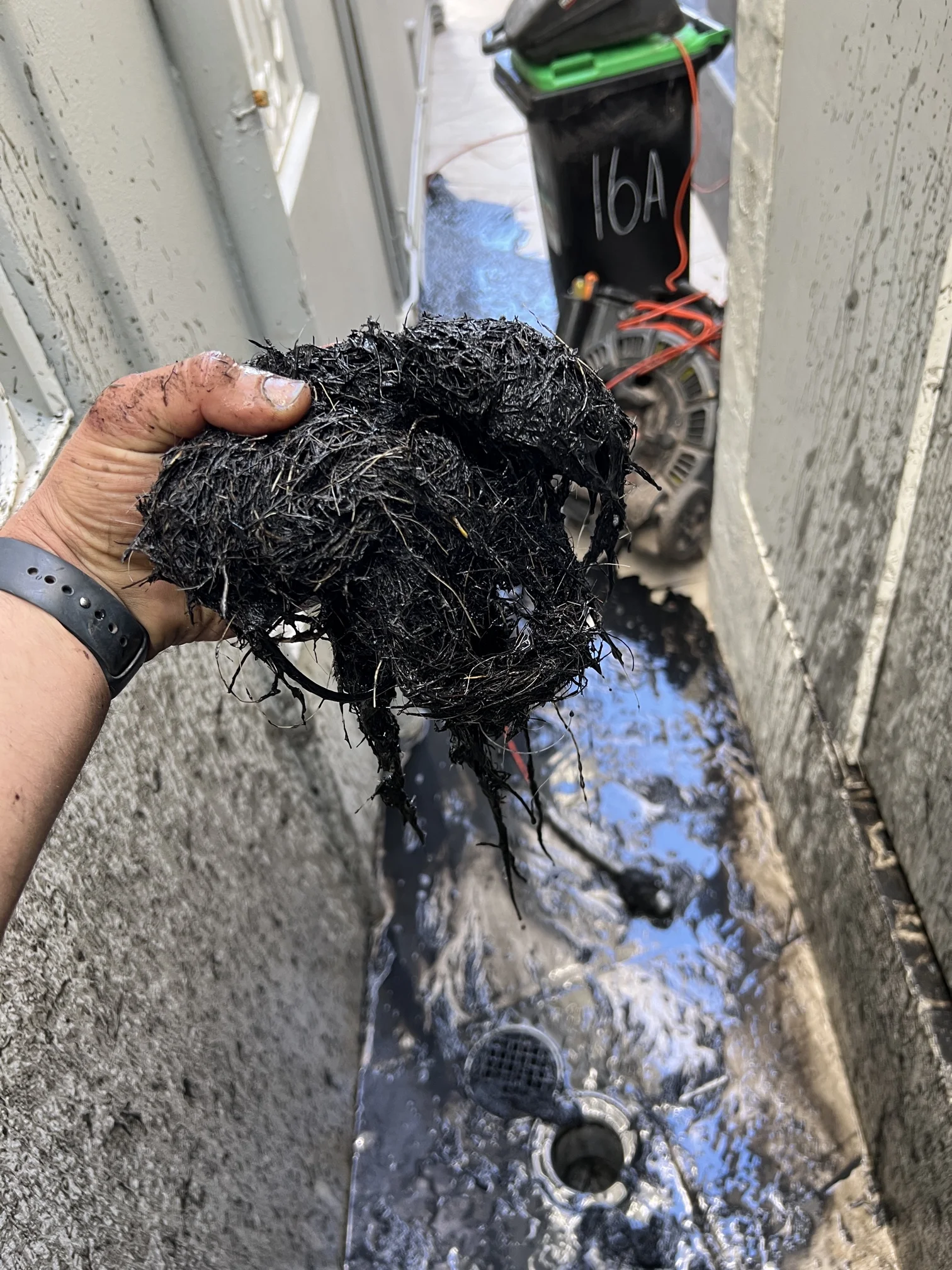 Darling Point Clogged Drain