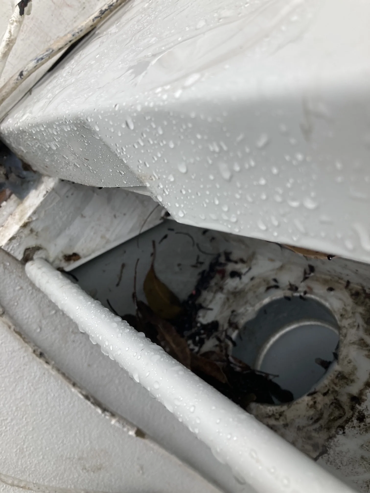 Double Bay Clogged Gutters