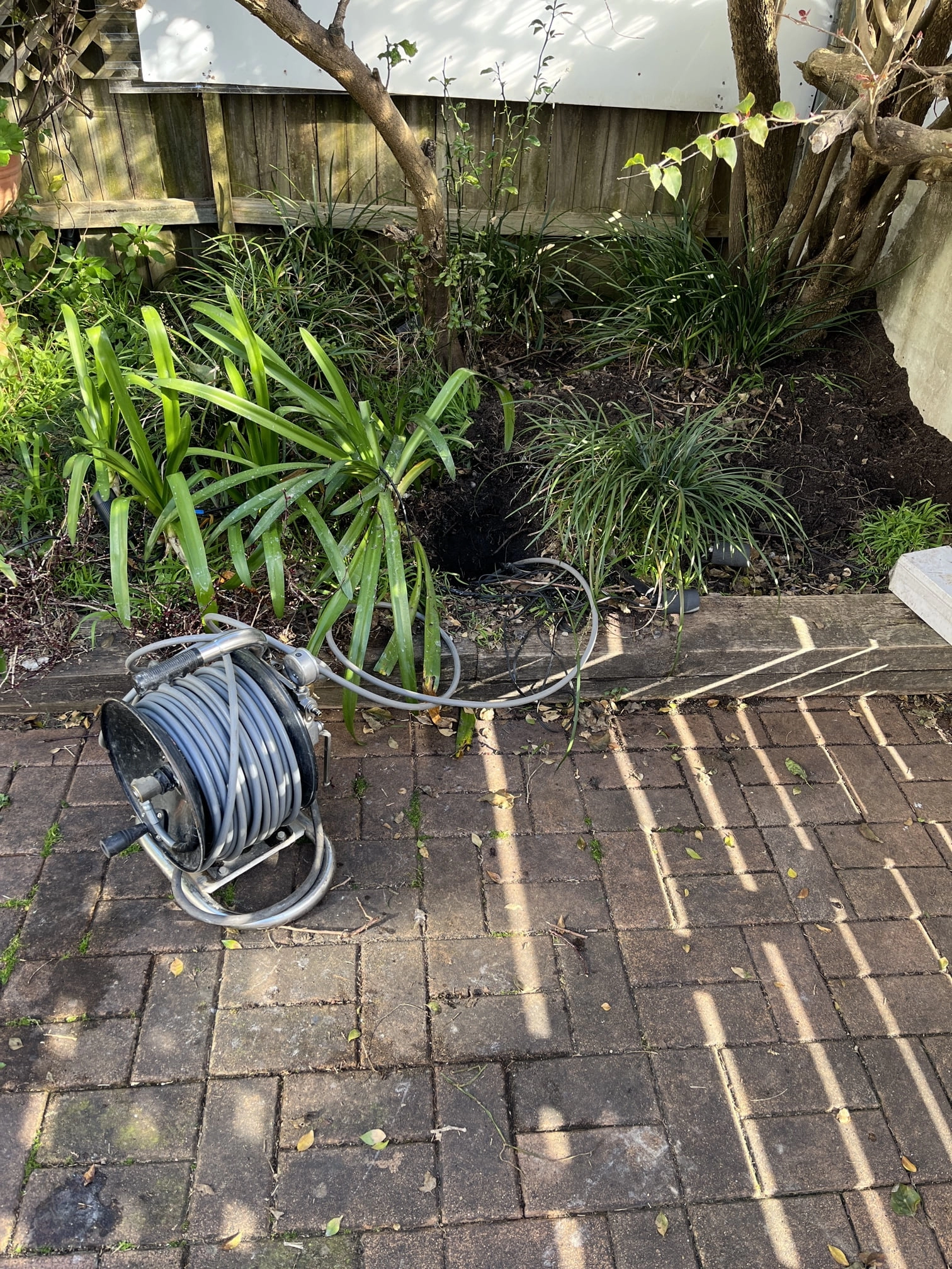 Dover Heights Blocked Drain