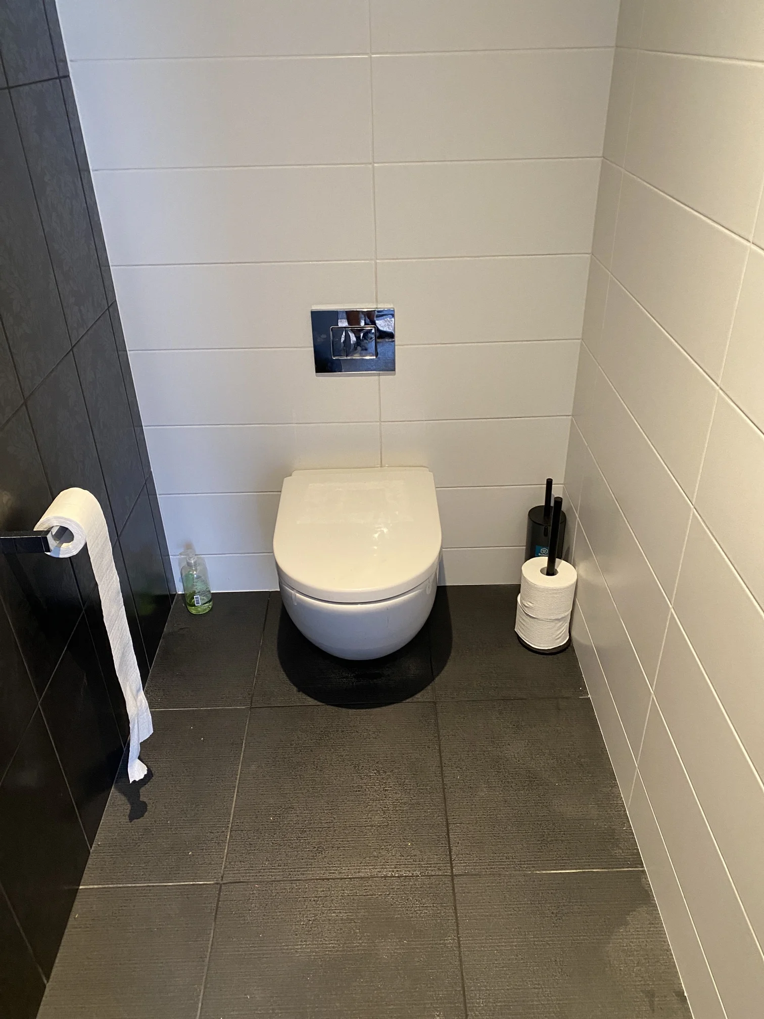 Dover Heights Blocked Toilet