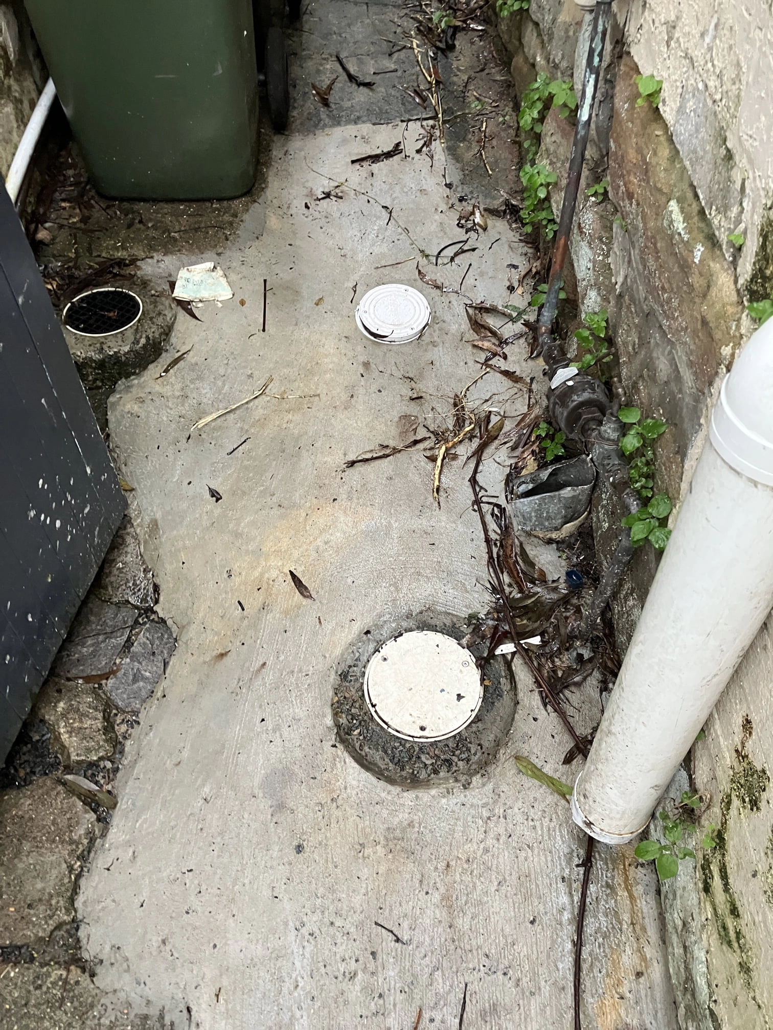 Edgecliff Blocked Sewer