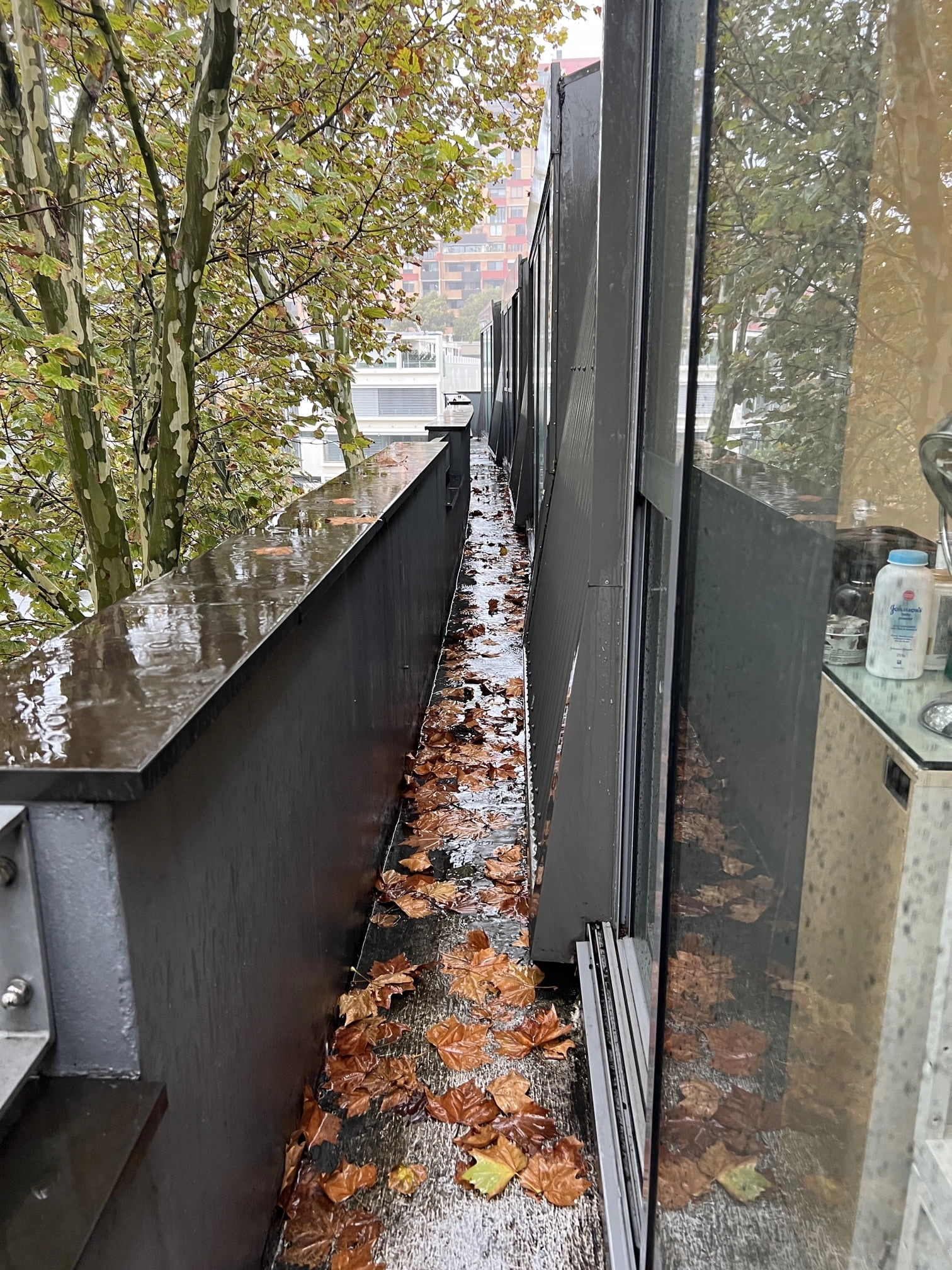 Woolloomooloo Blocked Gutters