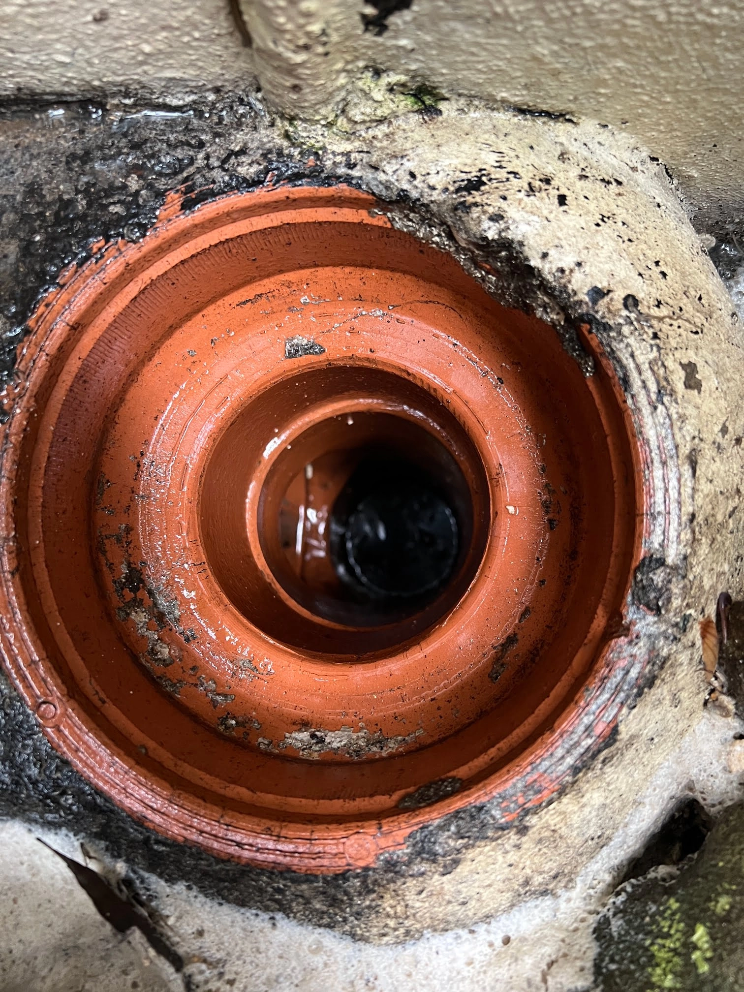 Woolloomooloo Blocked Drain