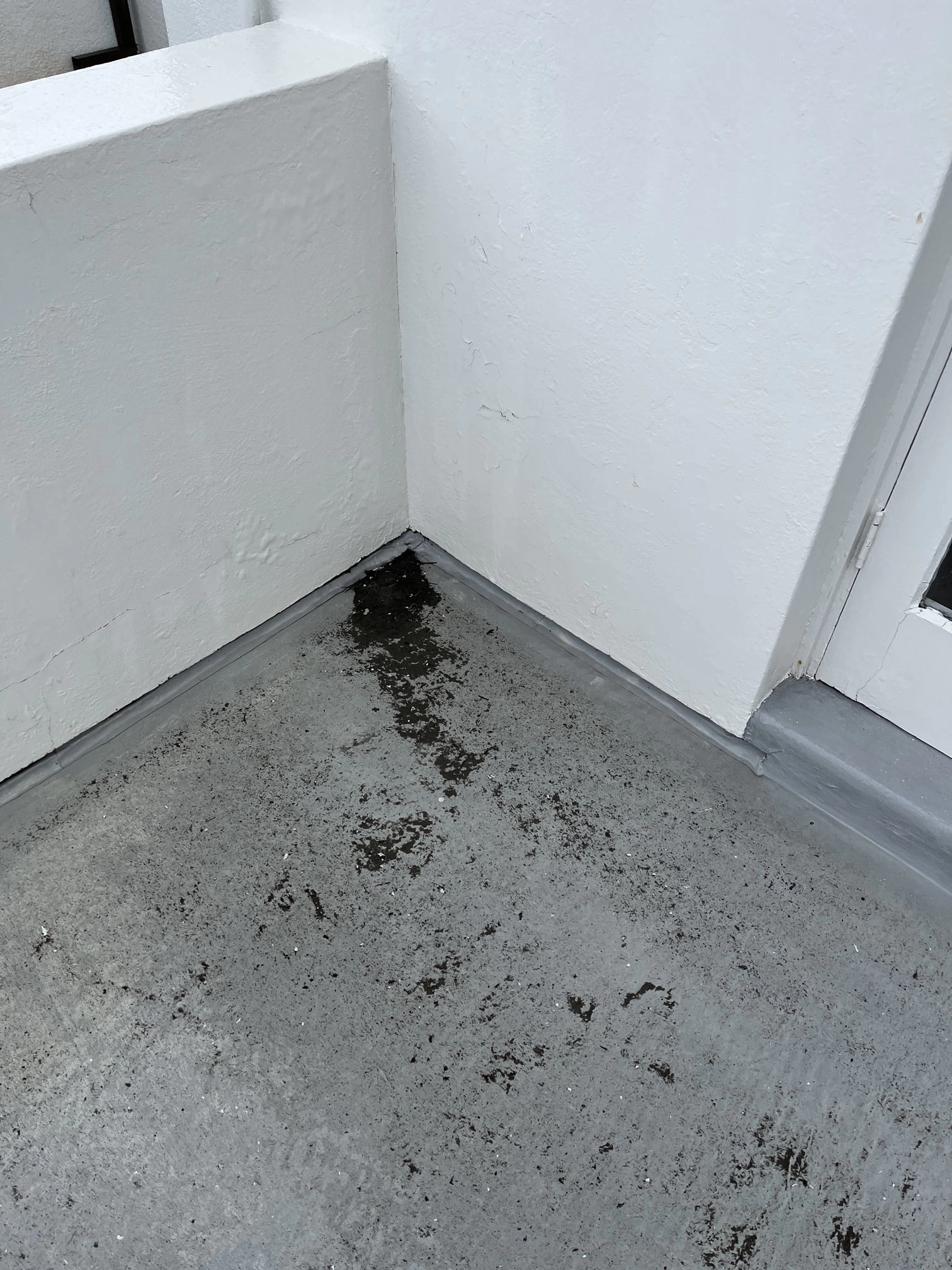Dover Heights Blocked Drain