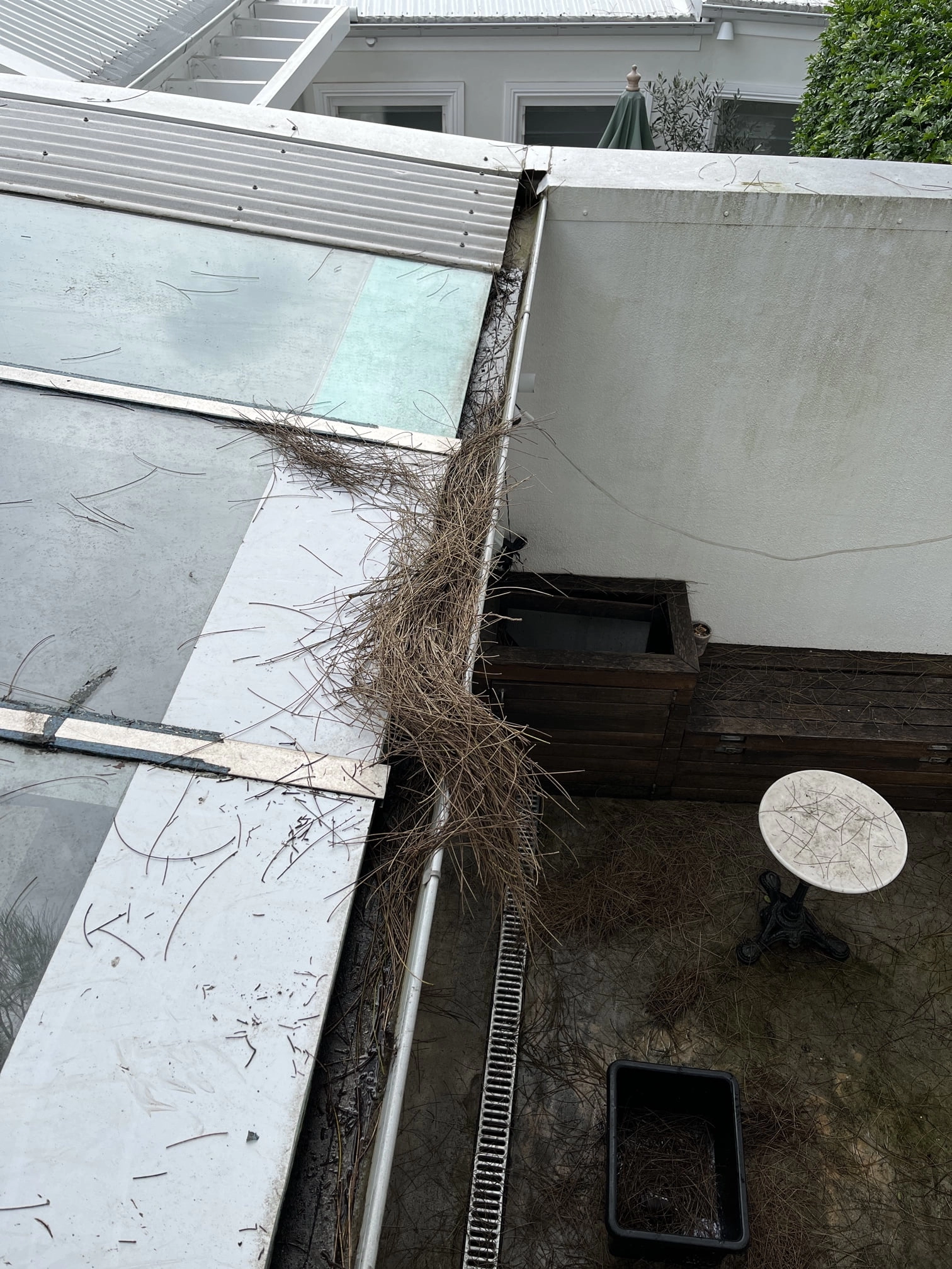 Paddington Overflowing Downpipe