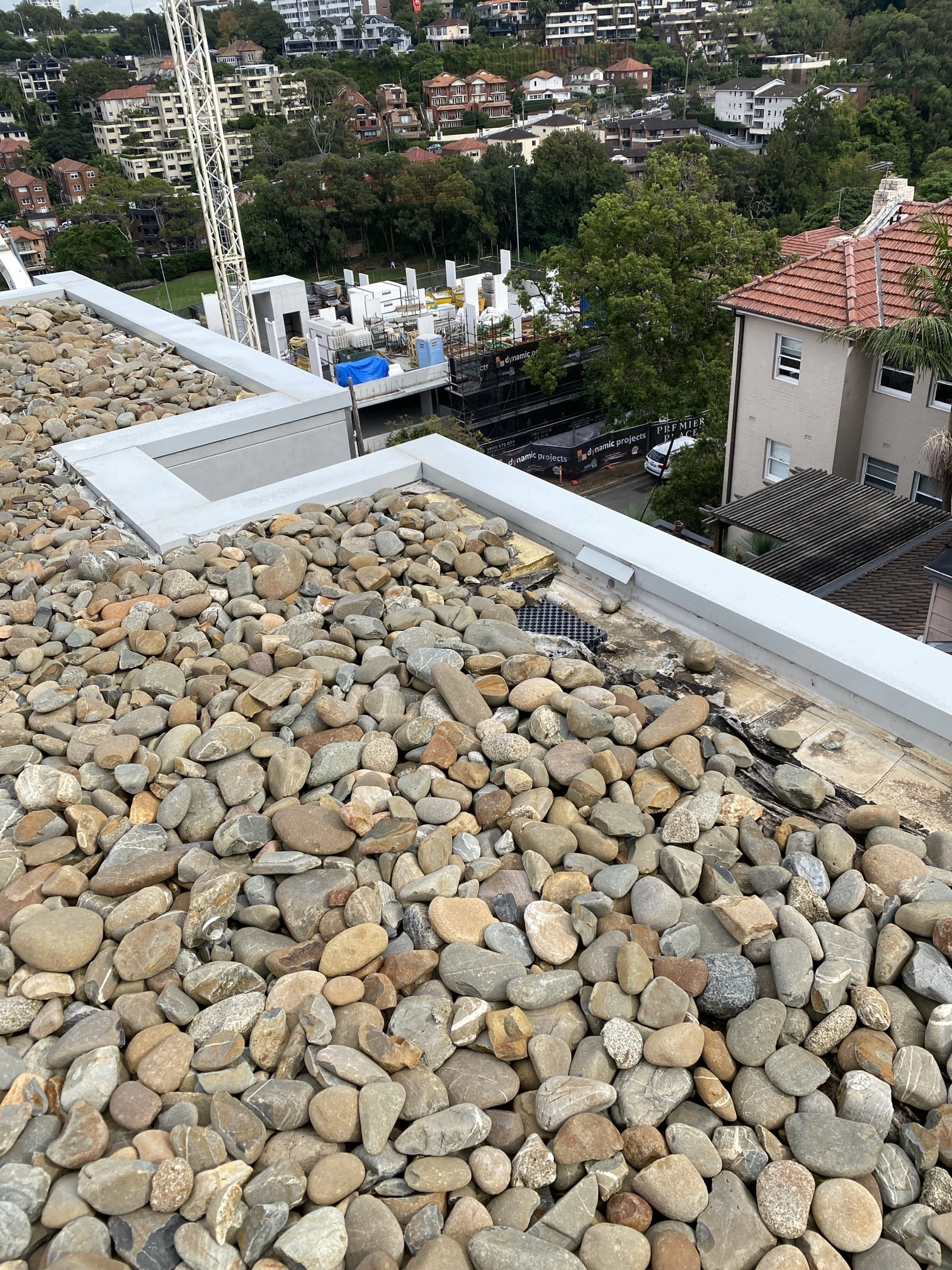 Neutral Bay Blocked Gutters