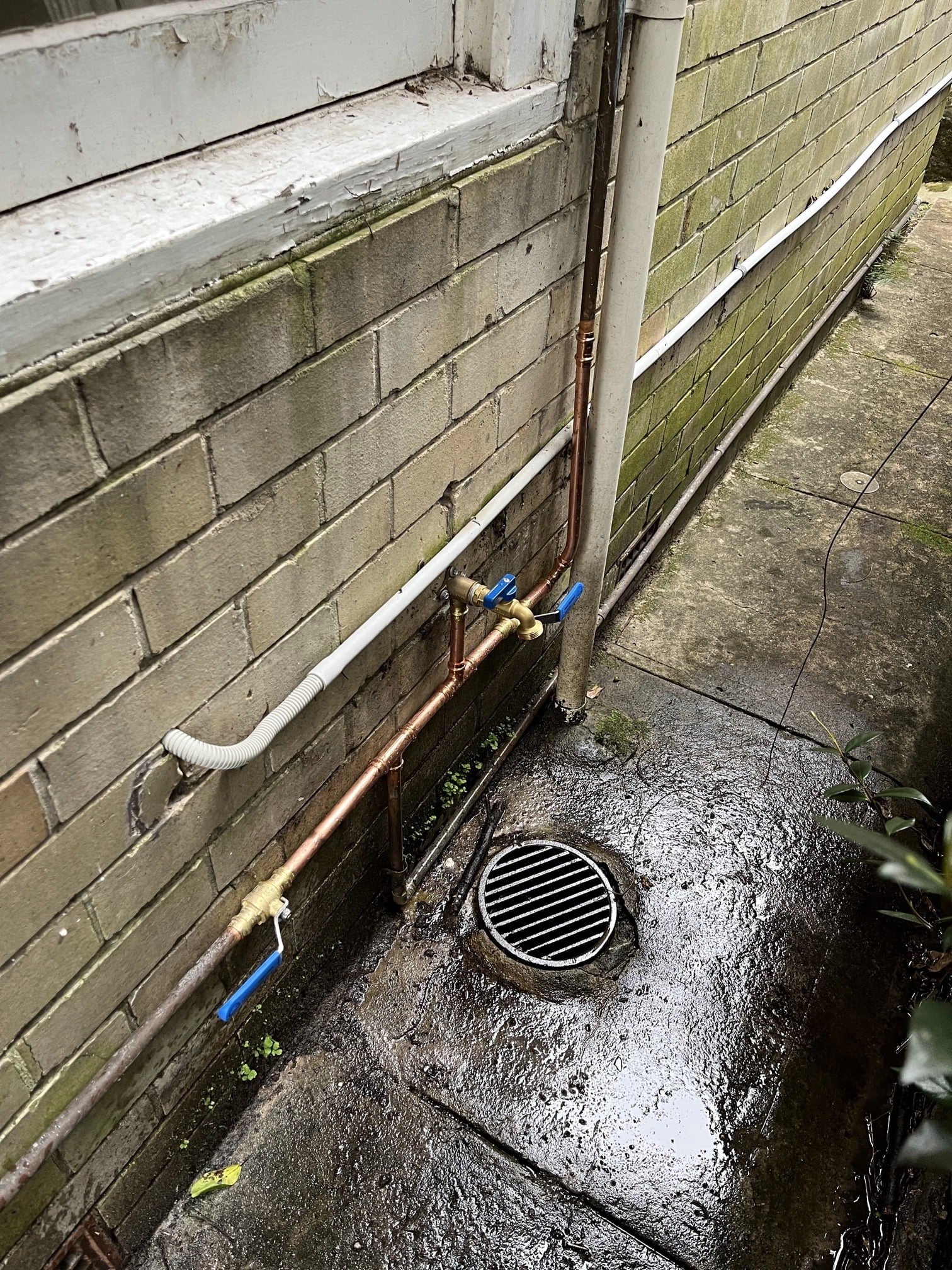 North Sydney Leaking Tap