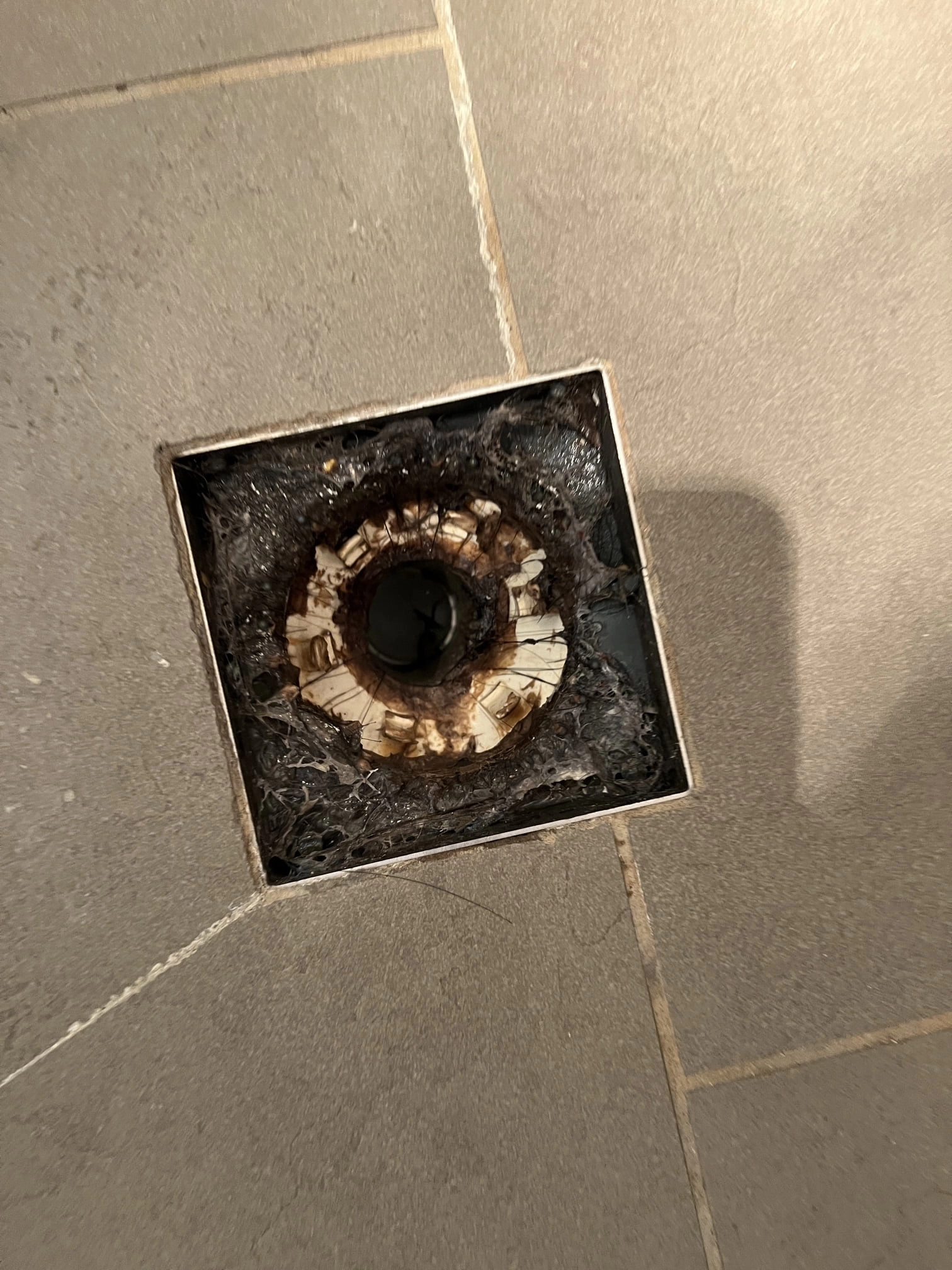 Paddington Blocked Shower Drain