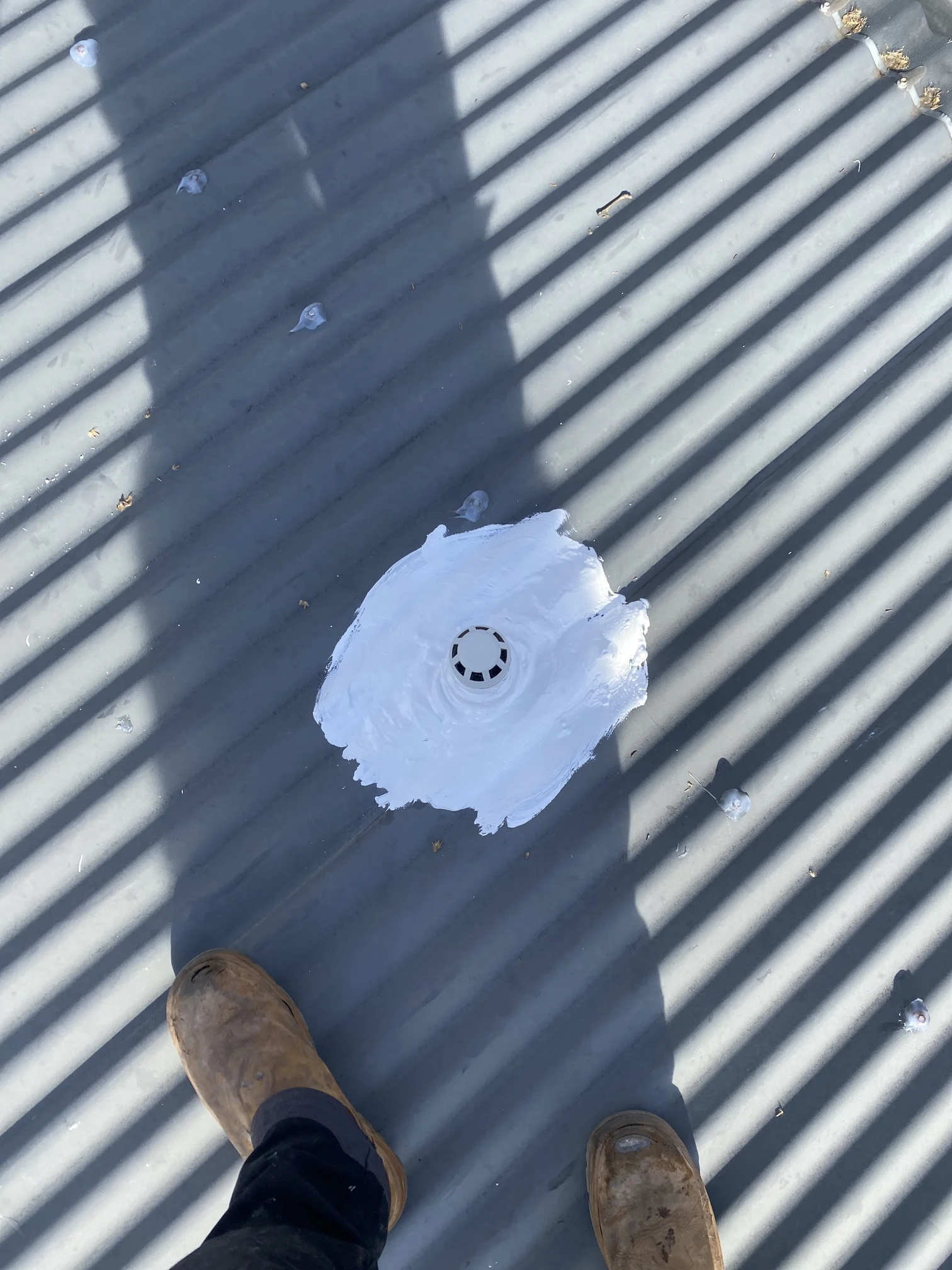 Paddington Roof Leak