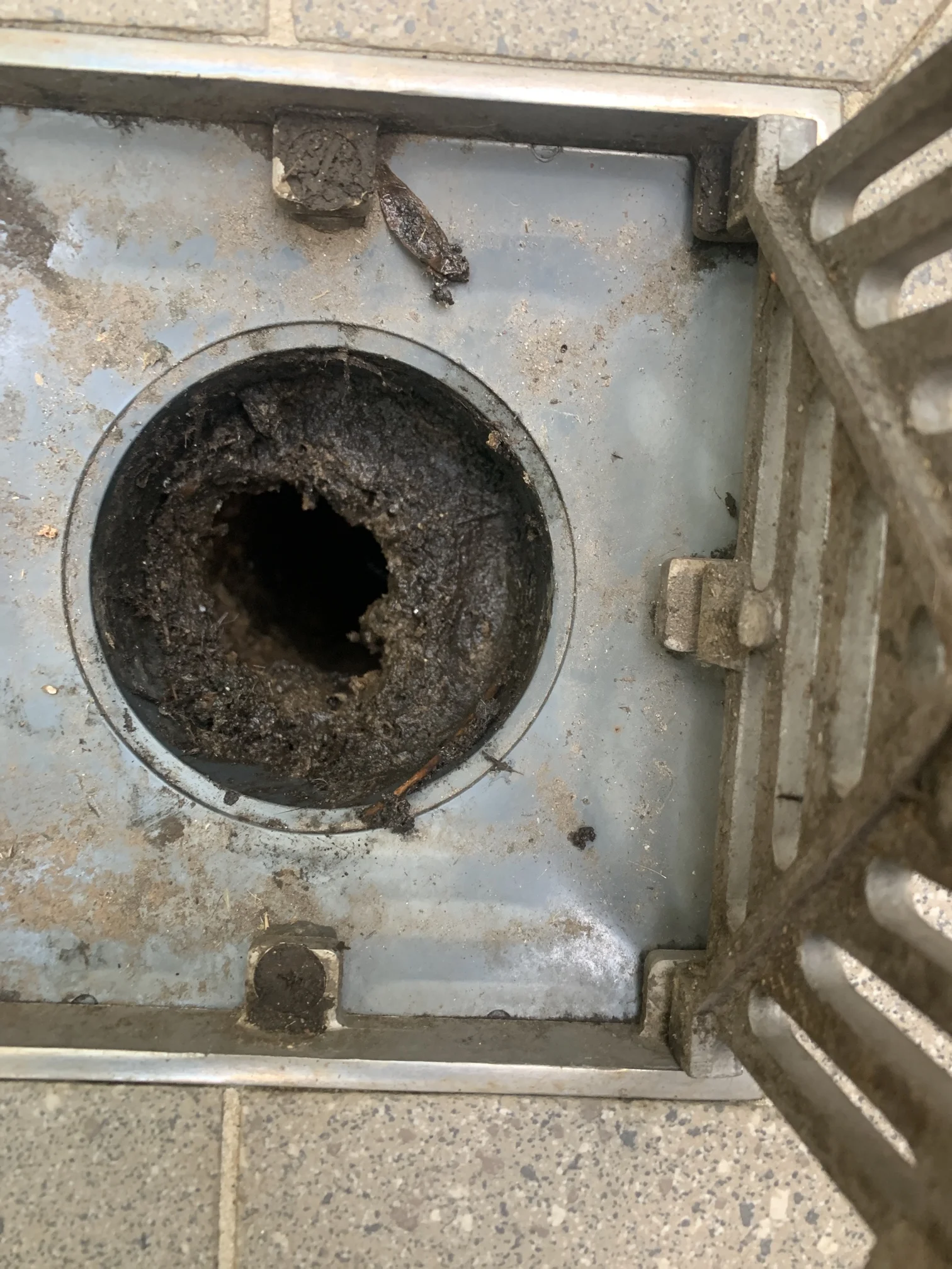 Petersham Blocked Drain