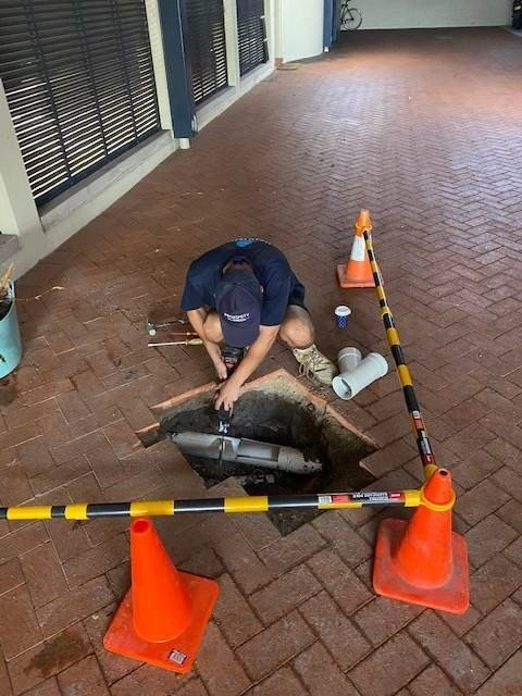 Rose Bay Blocked Drain