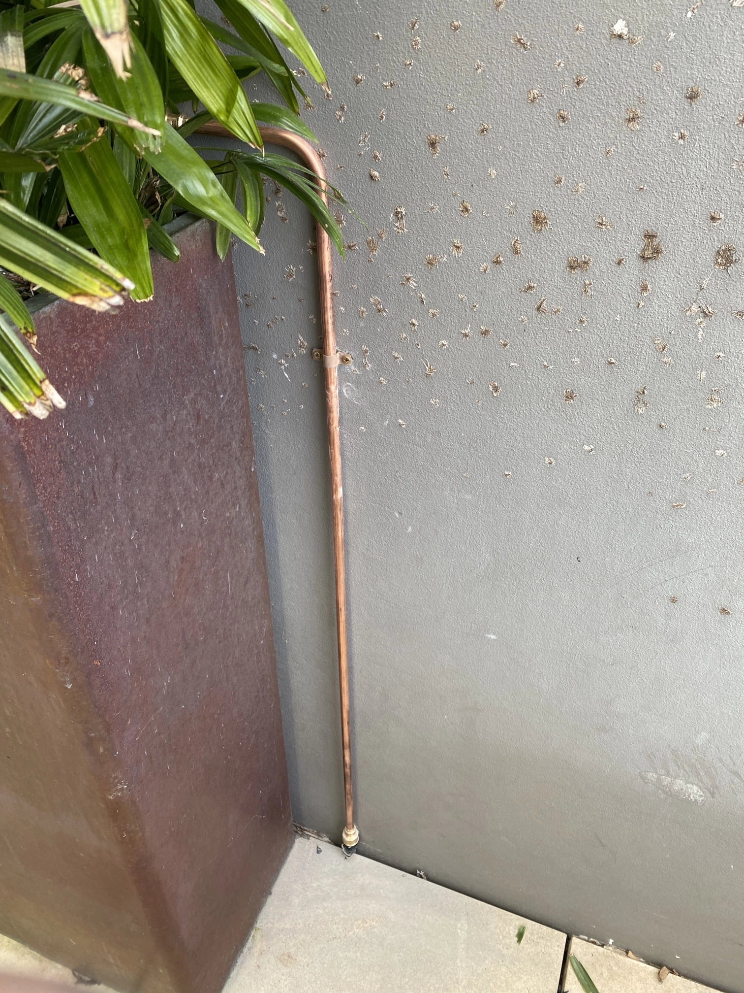 Point Piper Pipe Replacement