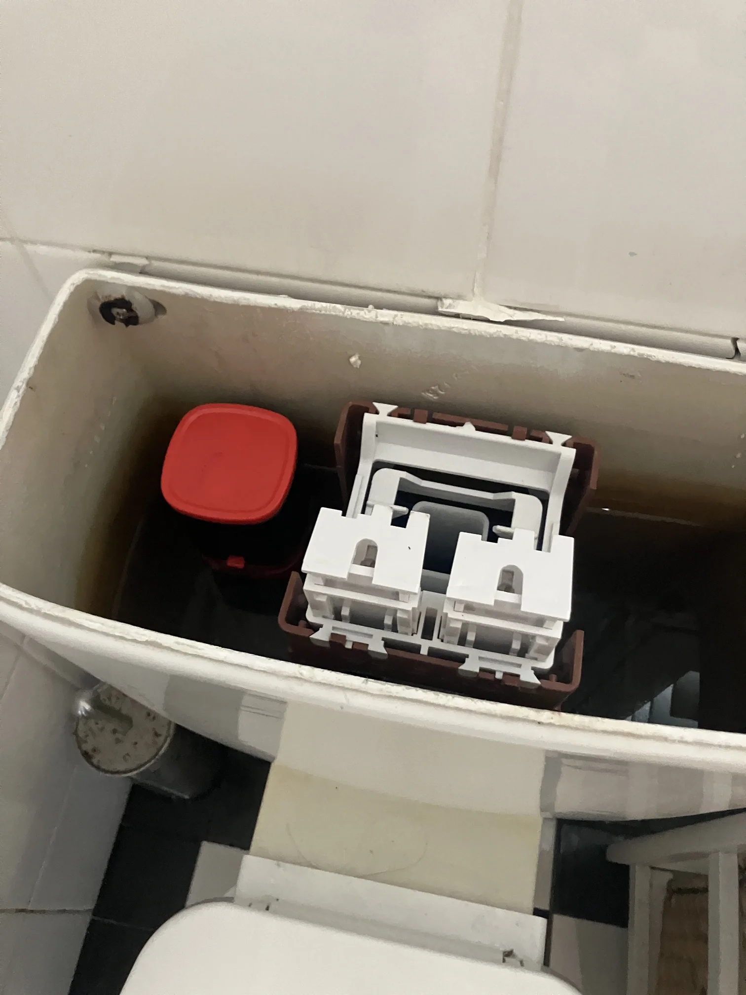 Potts Point Leaking Toilet