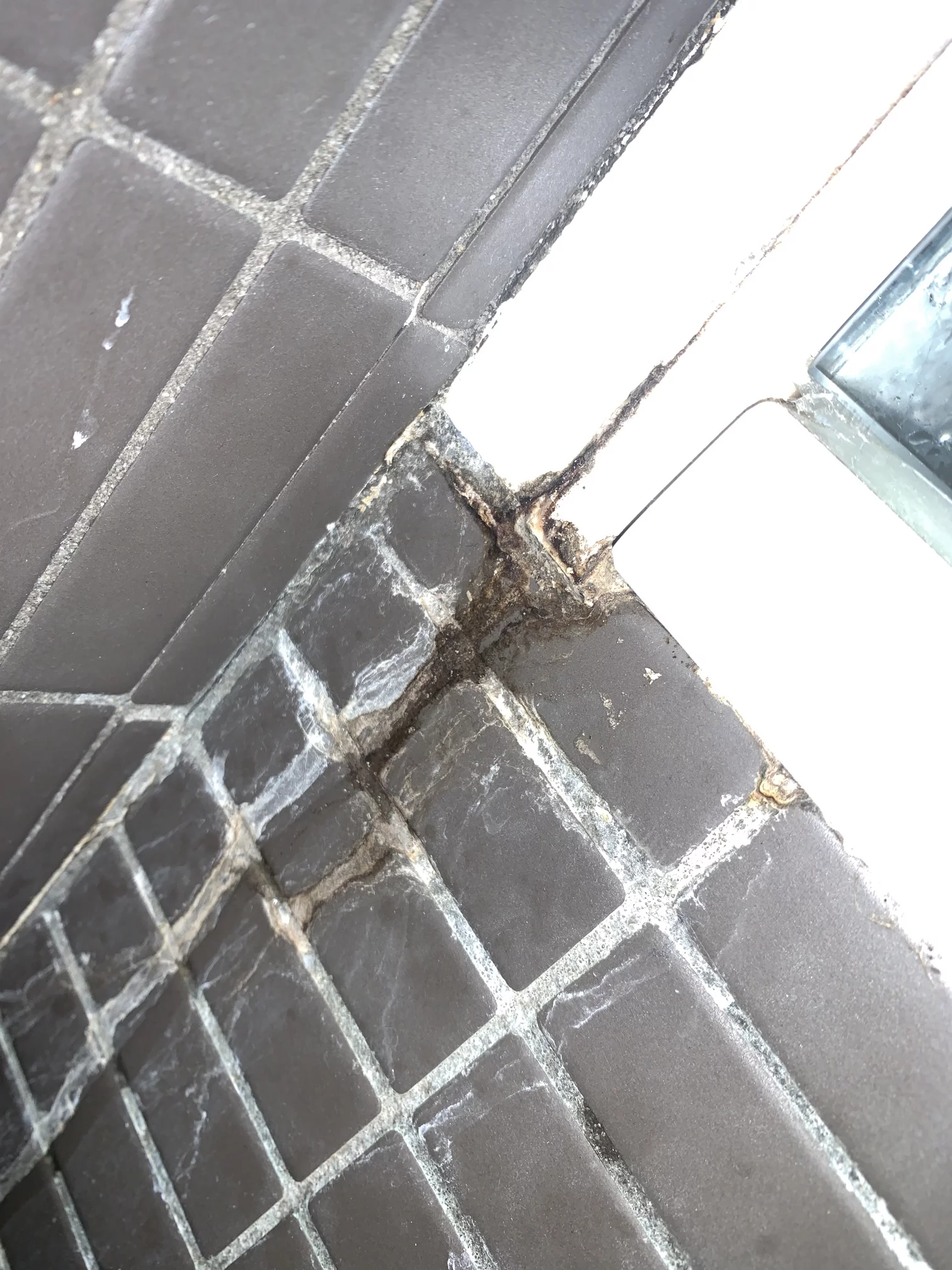 Rose-Bay-Bathroom-Leak-1-1