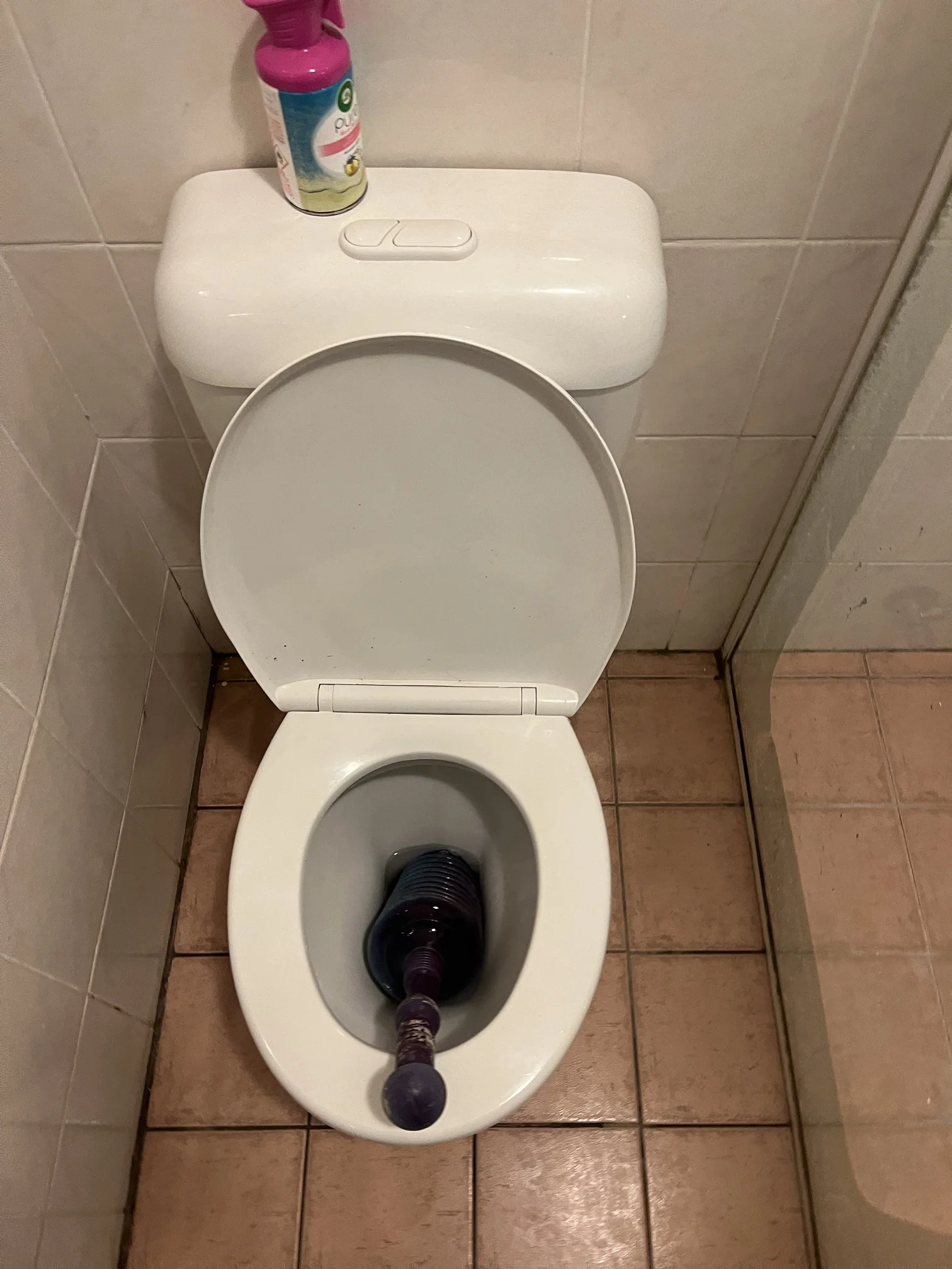 Rosebery Blocked Toilet