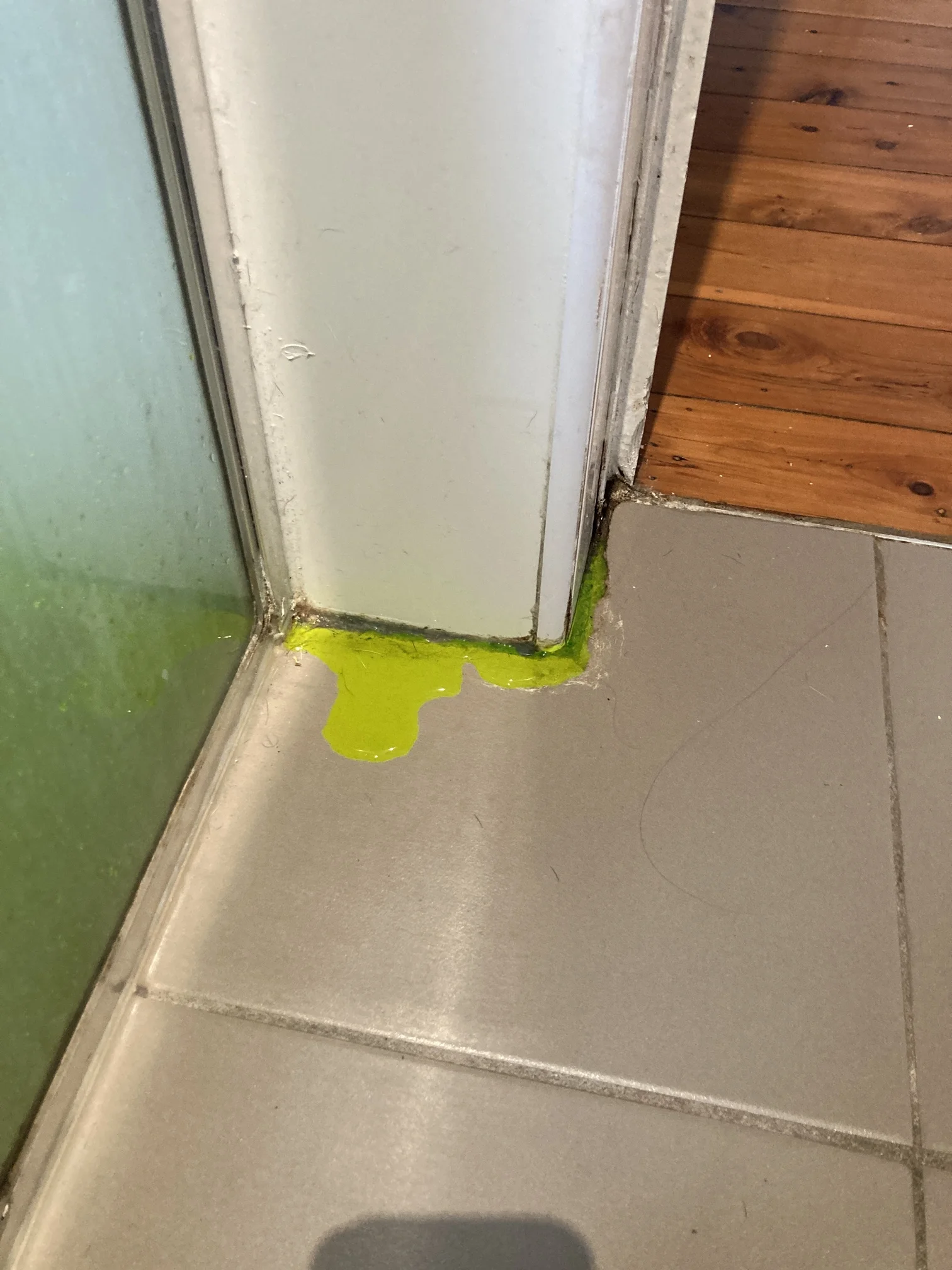 Rosebery Water Leak