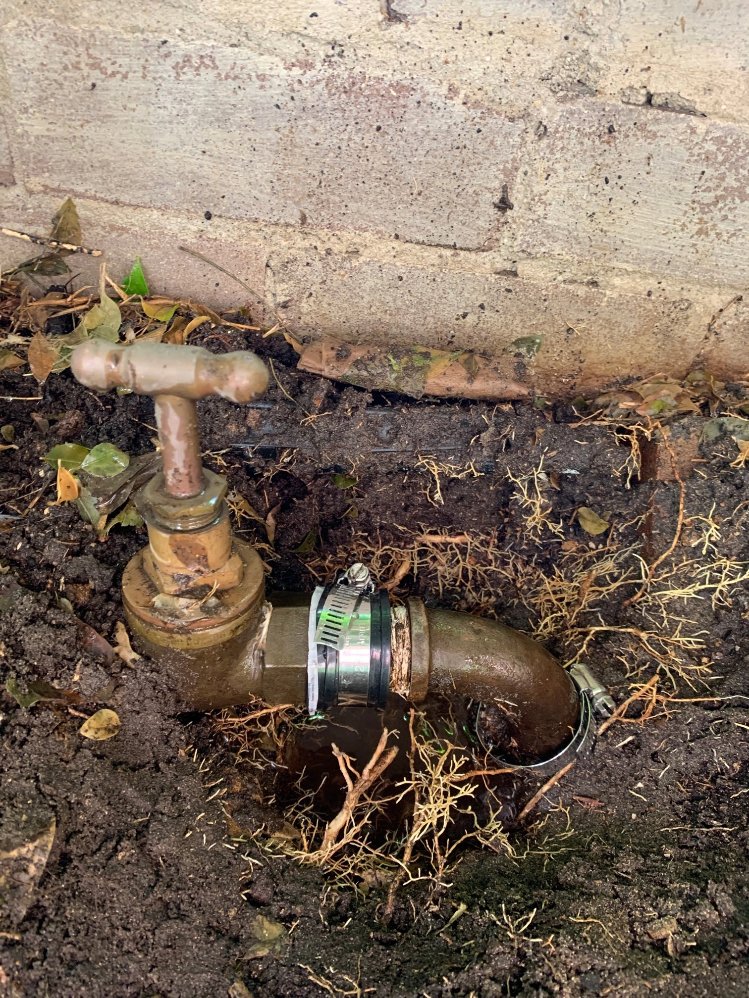 Strata Water Leak In Clovelly