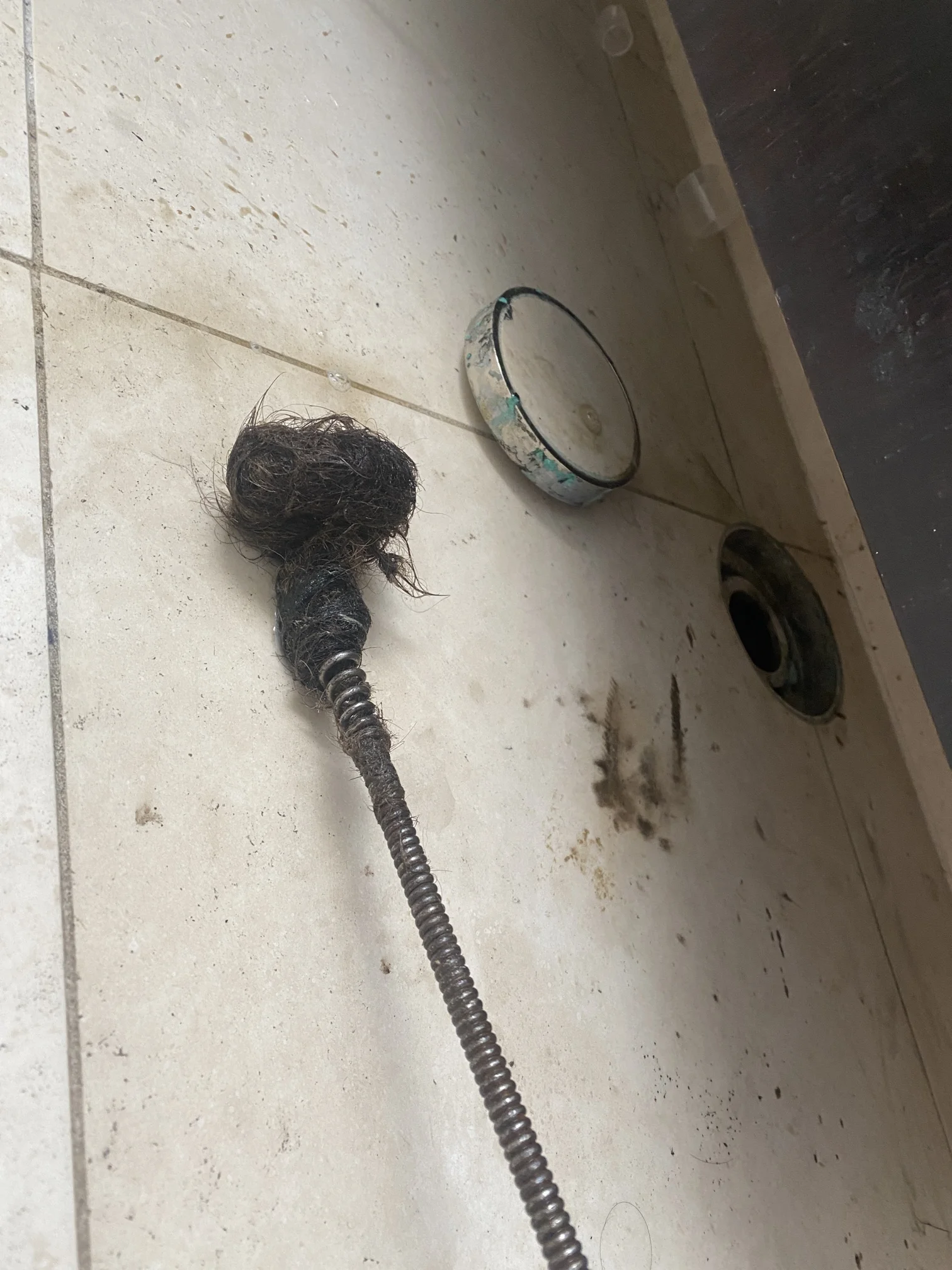 Point Piper Blocked Bathroom