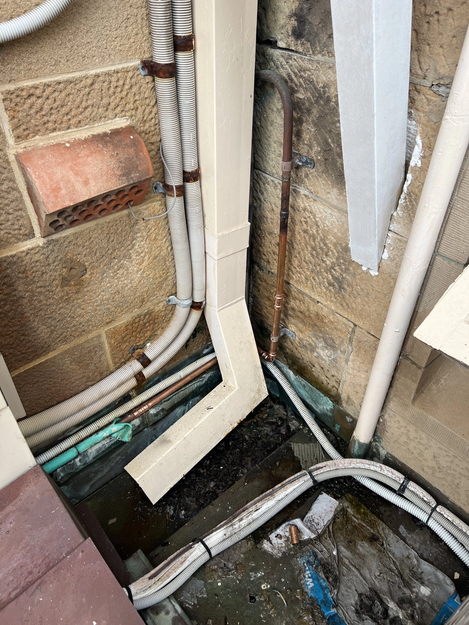 Vaucluse Burst Hot Water