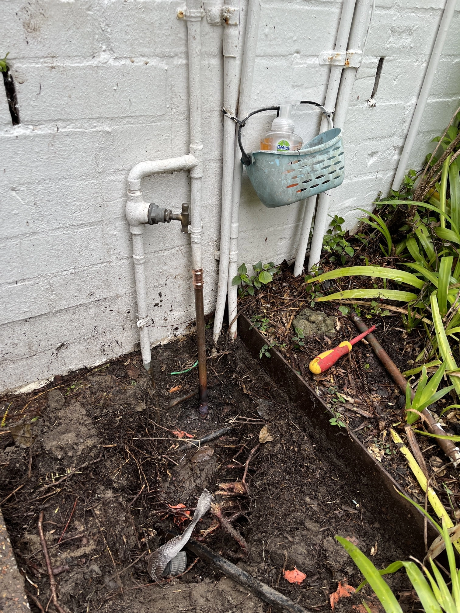 Vaucluse Water Leak