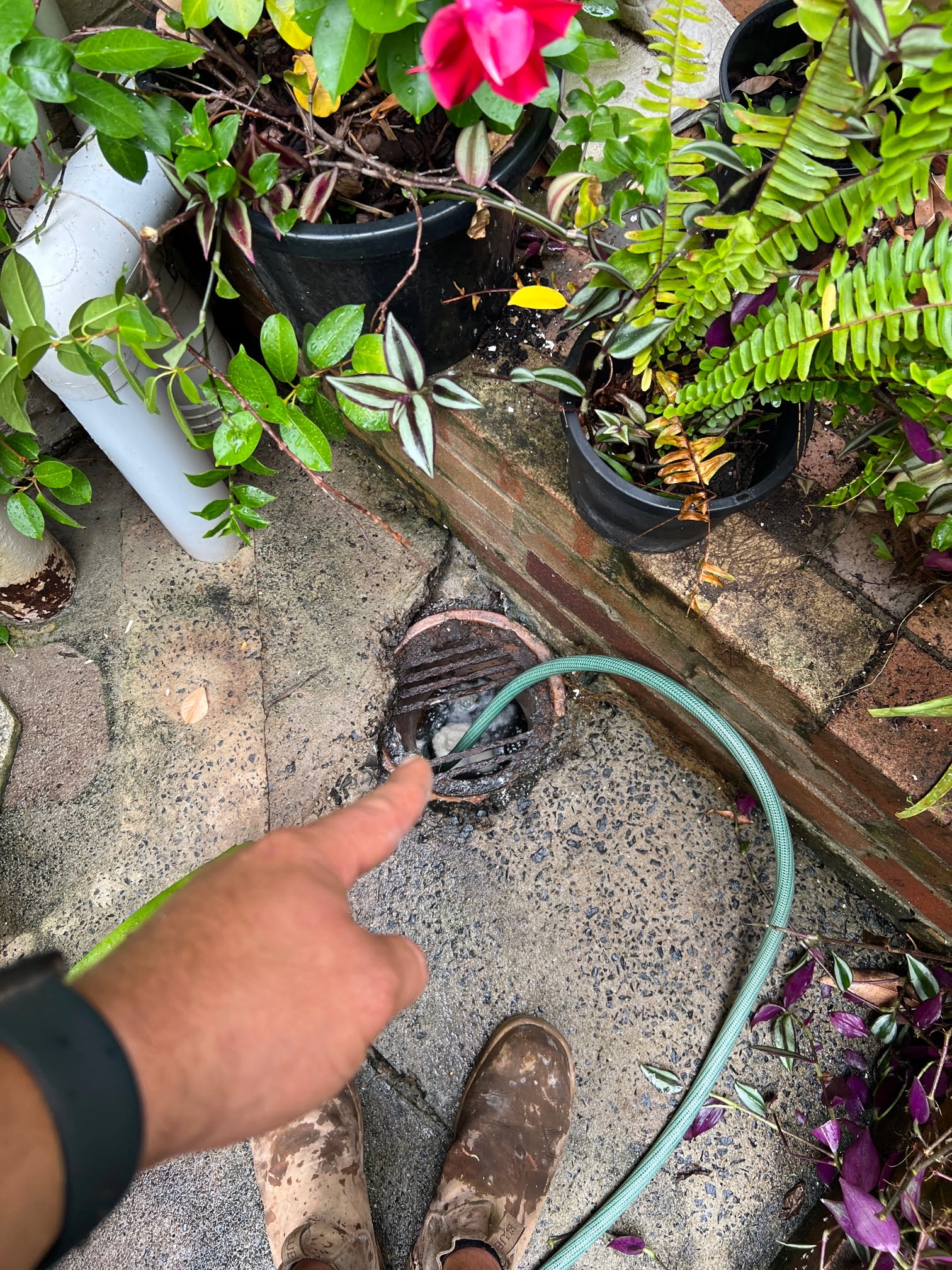 Woollahra Blocked Drain