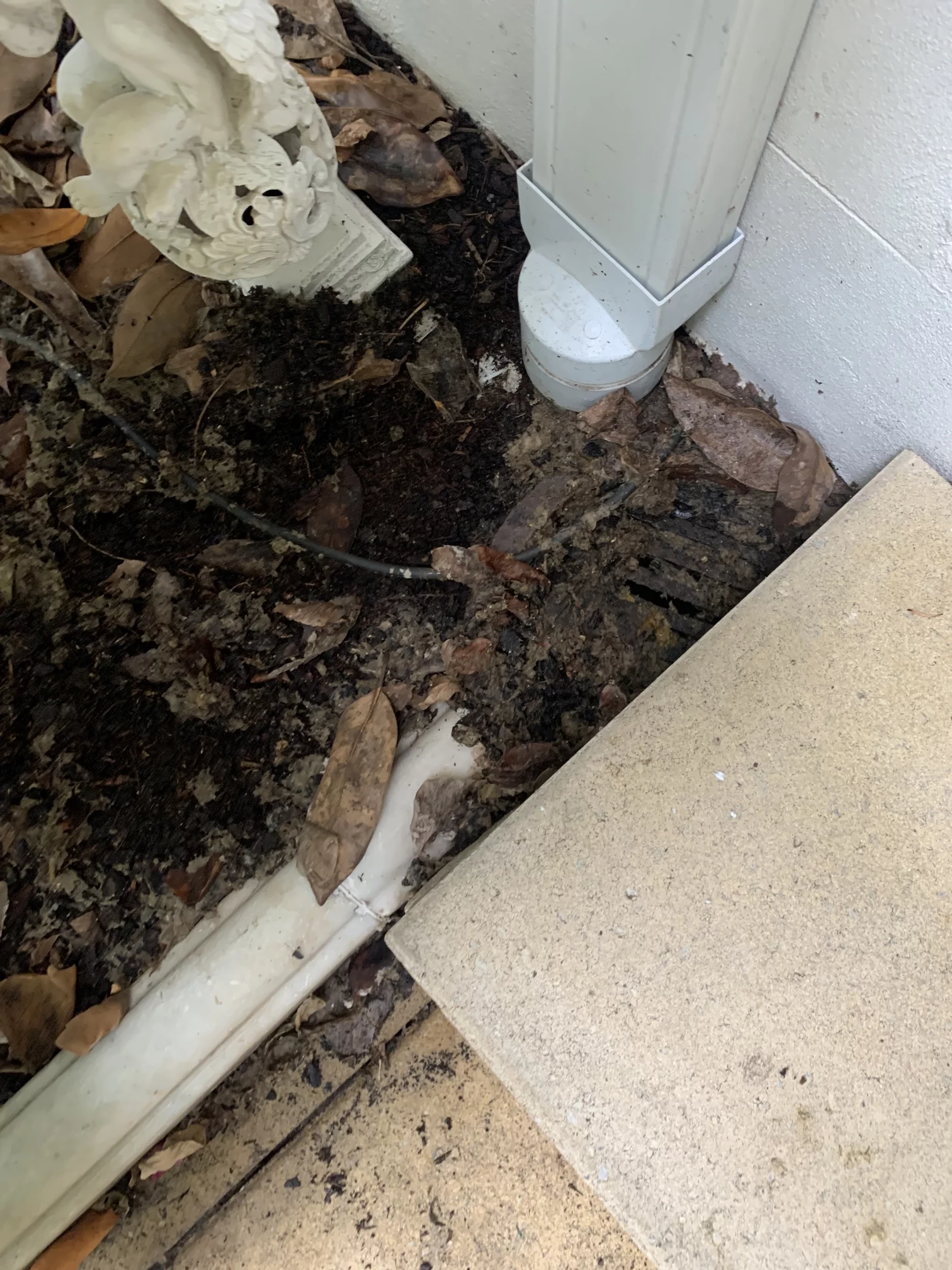 Woollahra Blocked Sewer Line