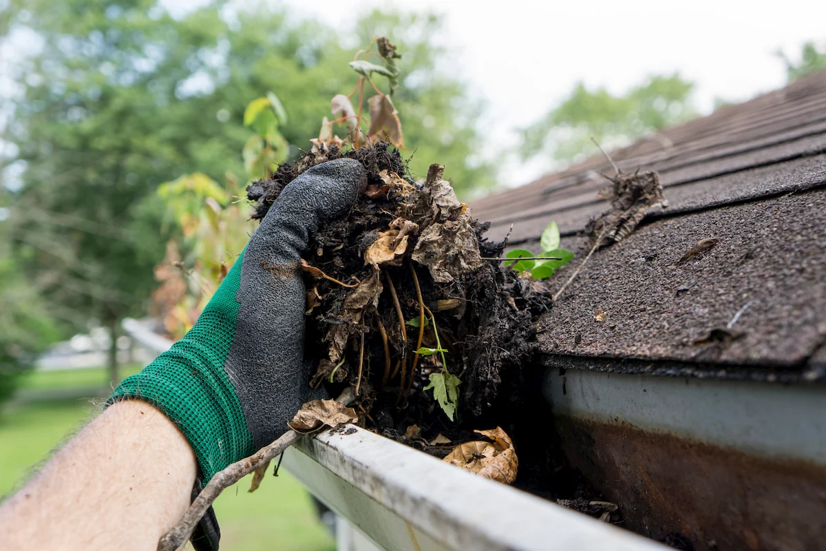 Benefits Of Cleaning Your Gutters Regularly