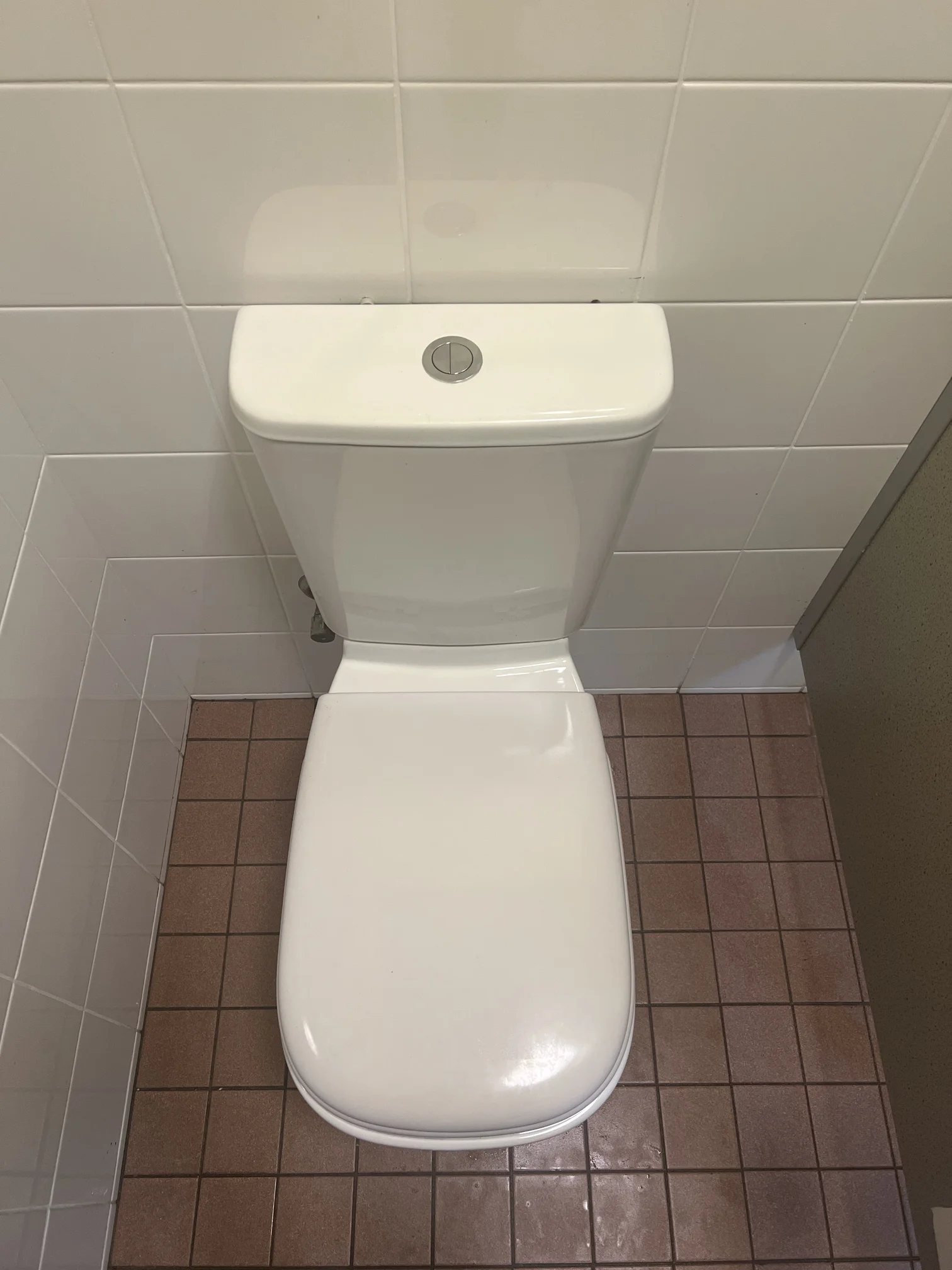 Rose Bay Leaking Toilet