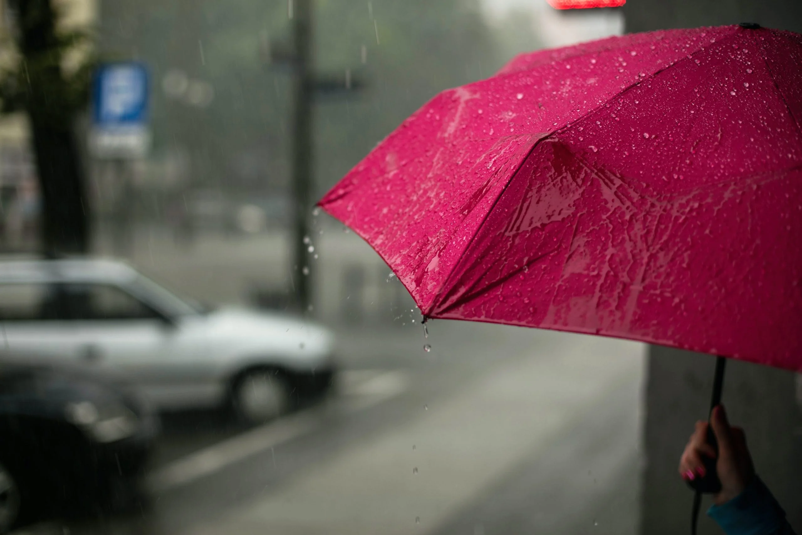 Storm Plumbing Emergencies: How To Avoid Costly Repairs