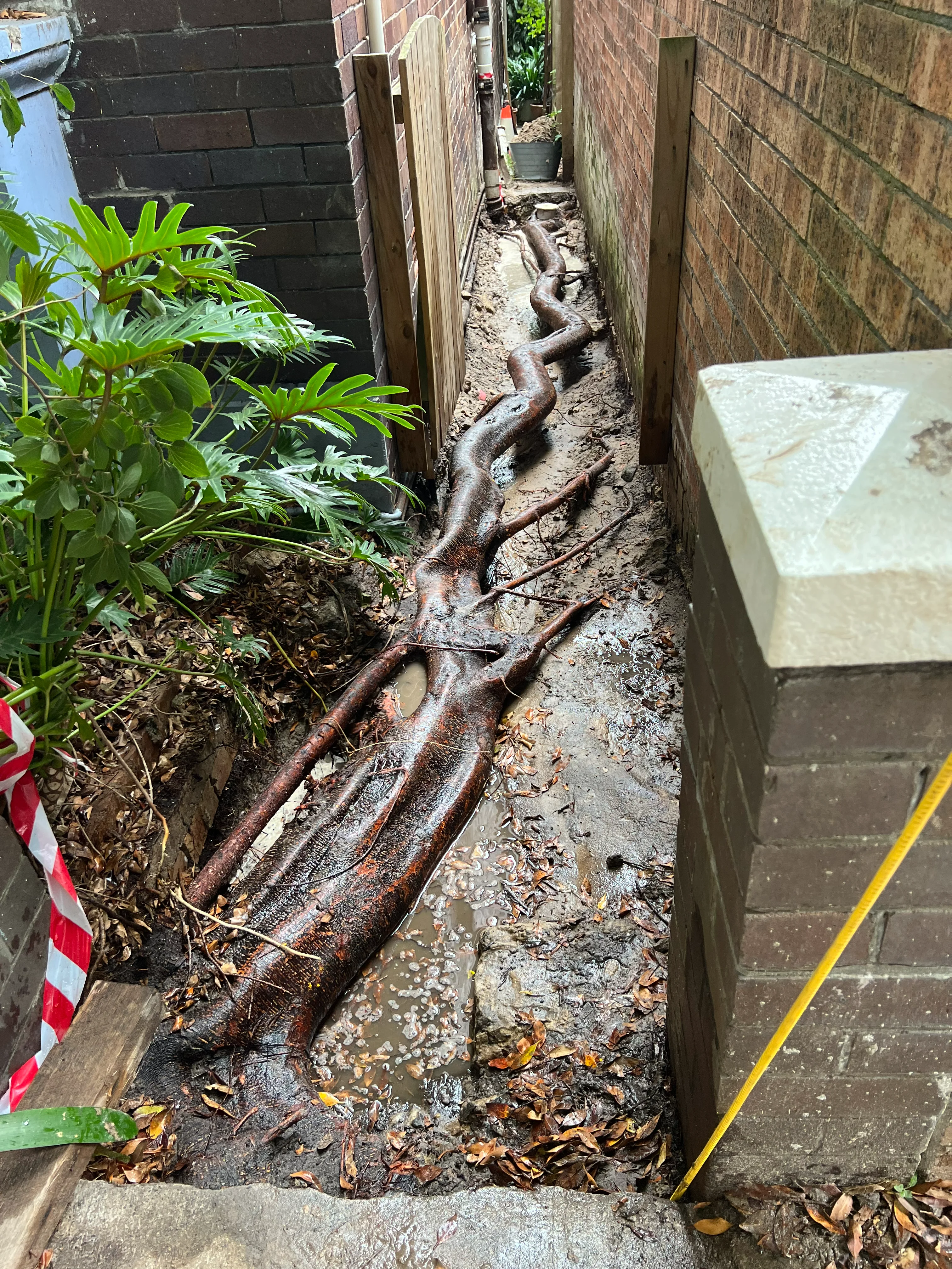 Blocked Drain Bondi Beach