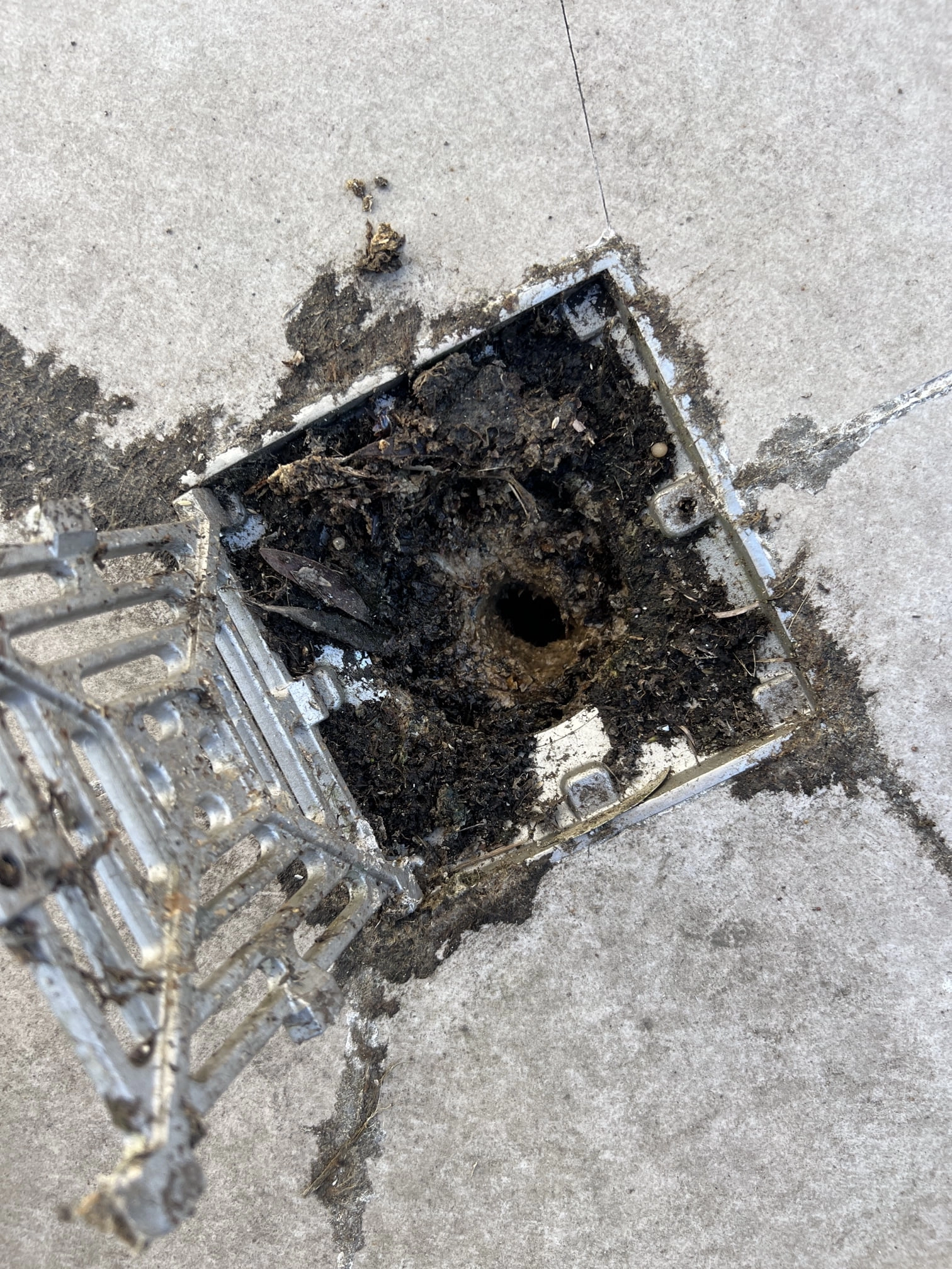 Rose Bay Blocked Balcony Drain